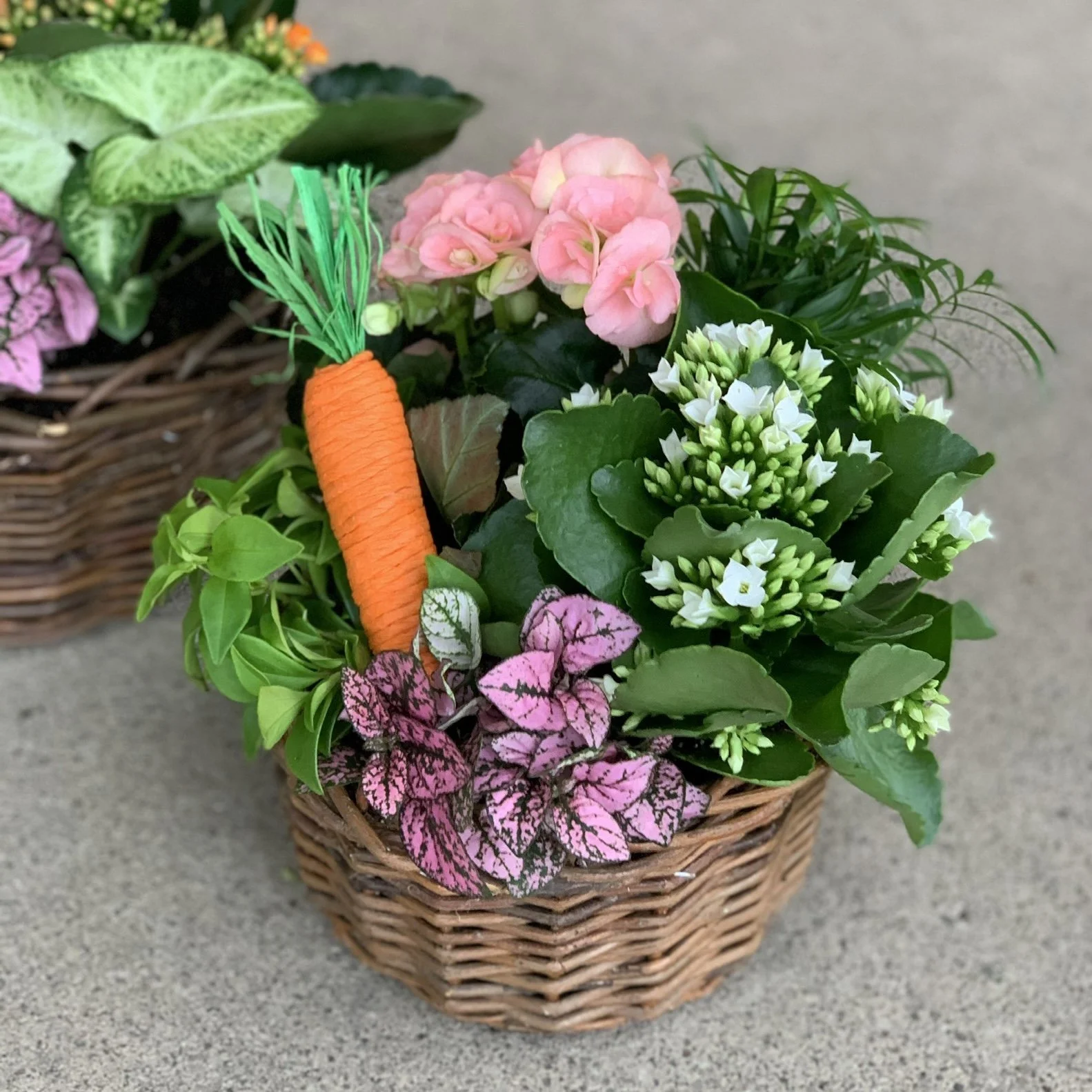 Classic Easter Basket Plant Arrangement