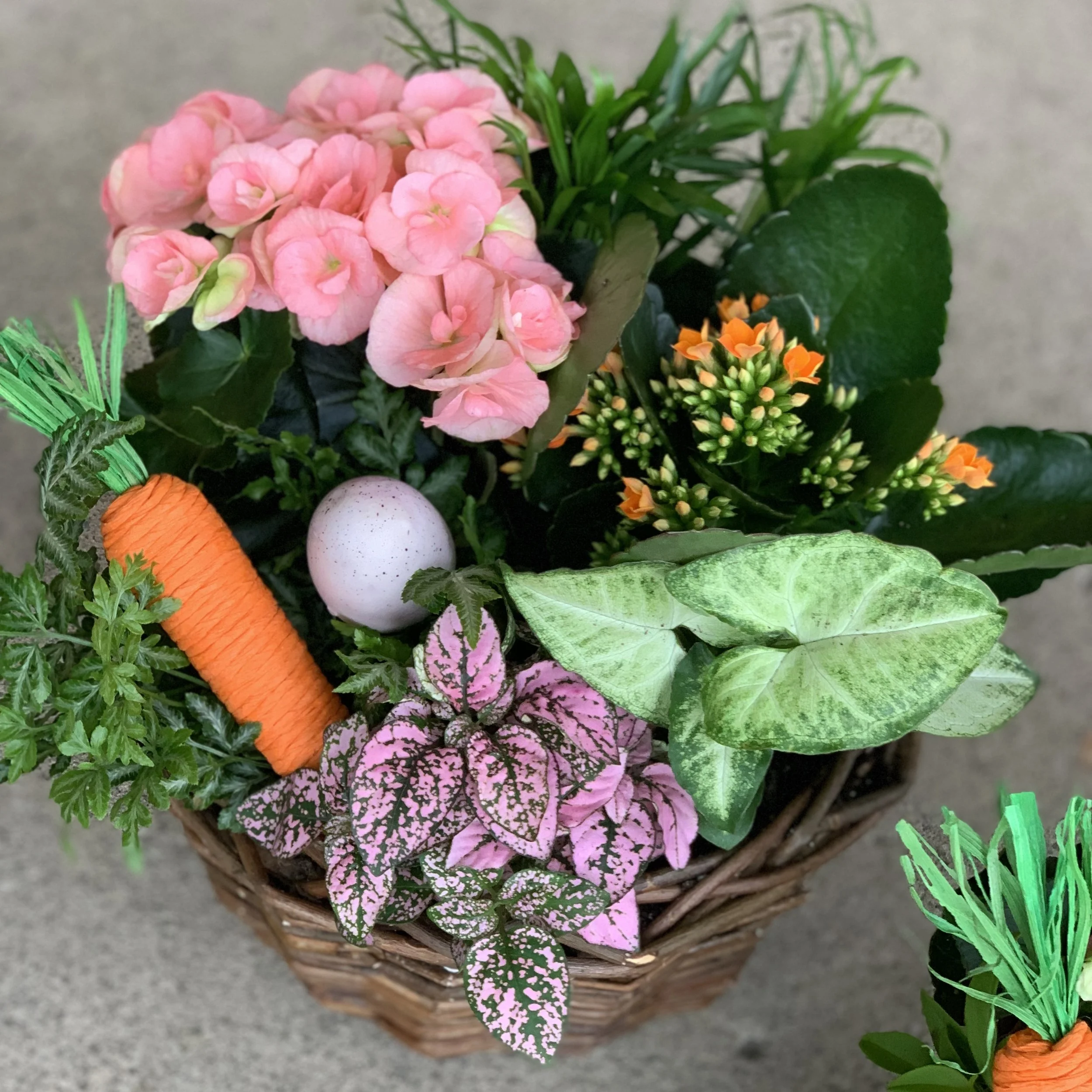 Classic Easter Basket Plant Arrangement