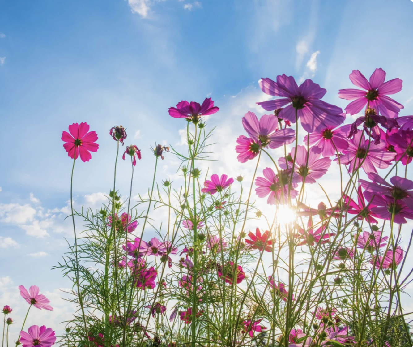 Spring Equinox Class