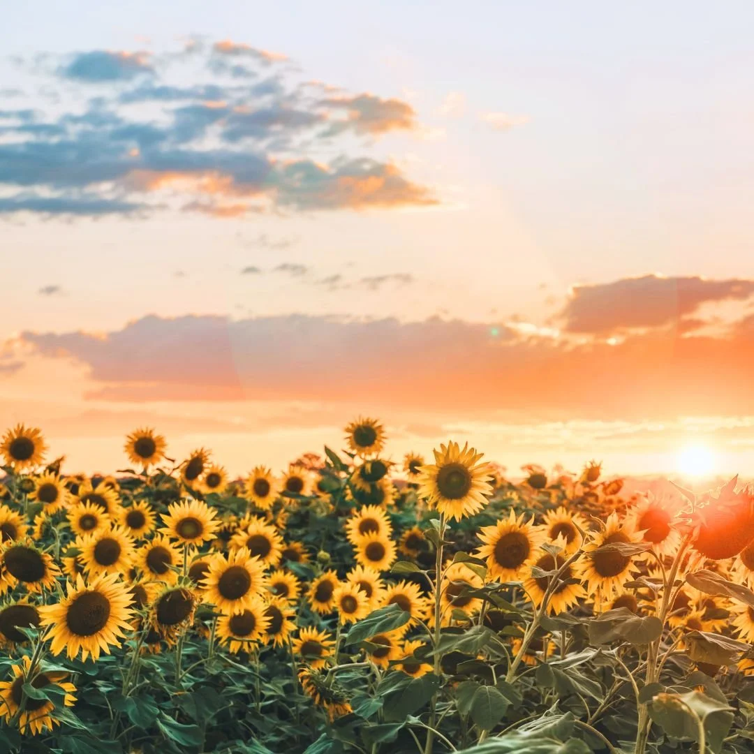 Summer Solstice Class