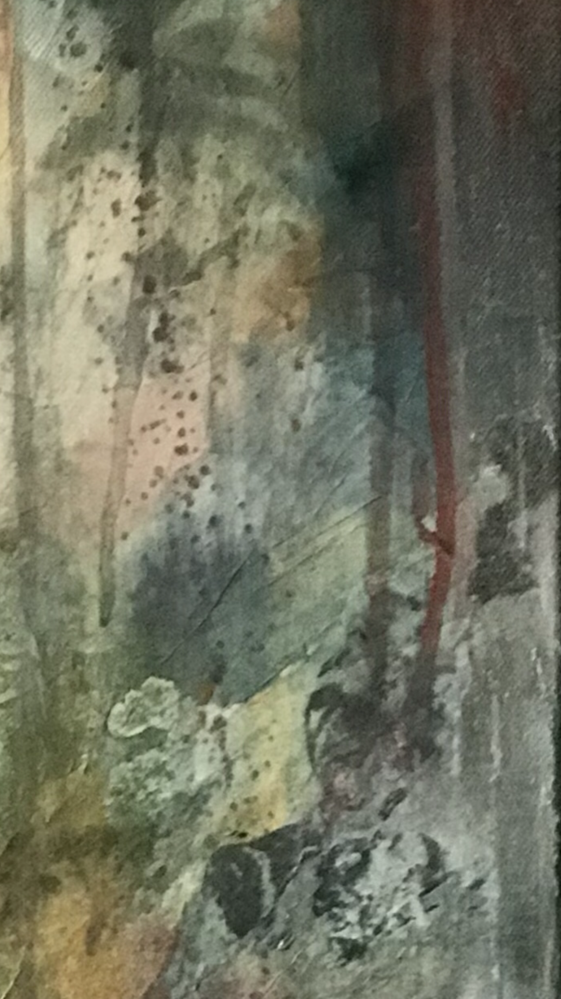 IMG_6283.png