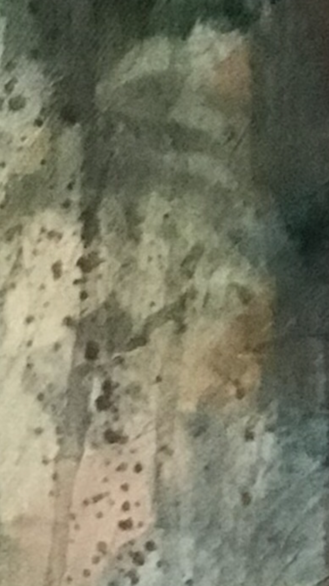 IMG_6280.png
