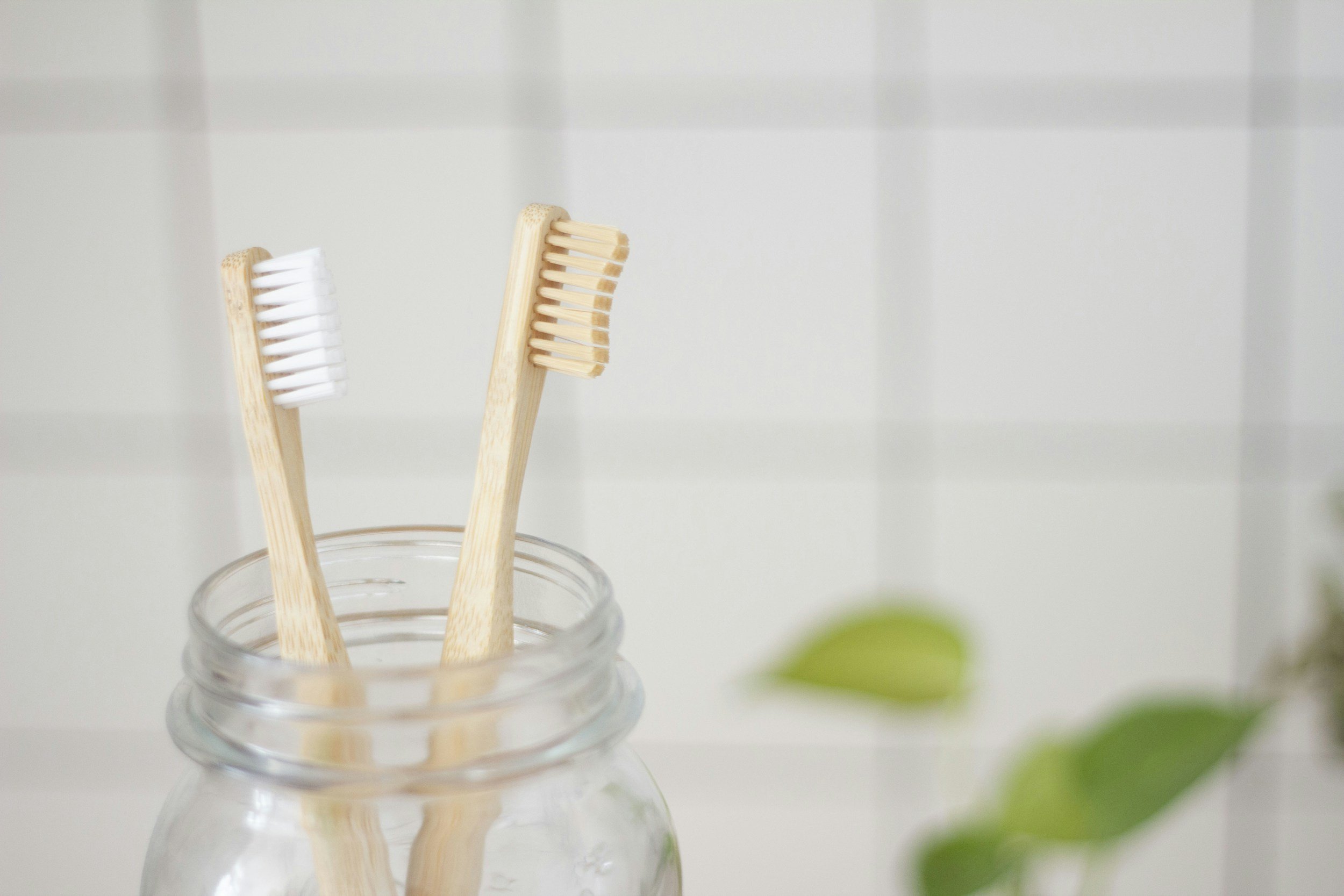 Two toothbrushes in a small glass container at Happy Molar Dental in Mesa, AZ, with a blurred green plant on the right and a white tiled wall in the background.