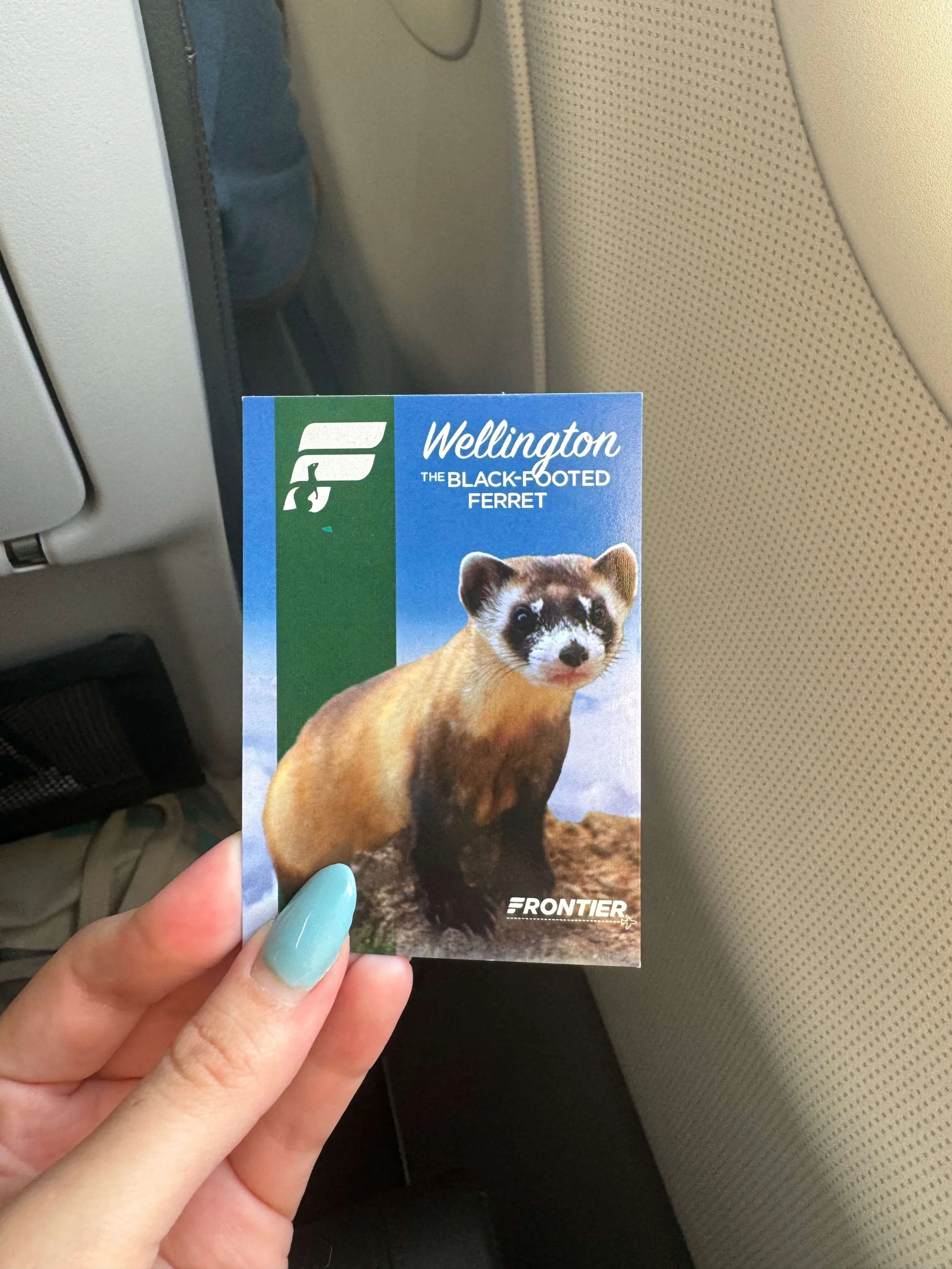 101Media_Marketing_Frontier_Airlines38.jpg