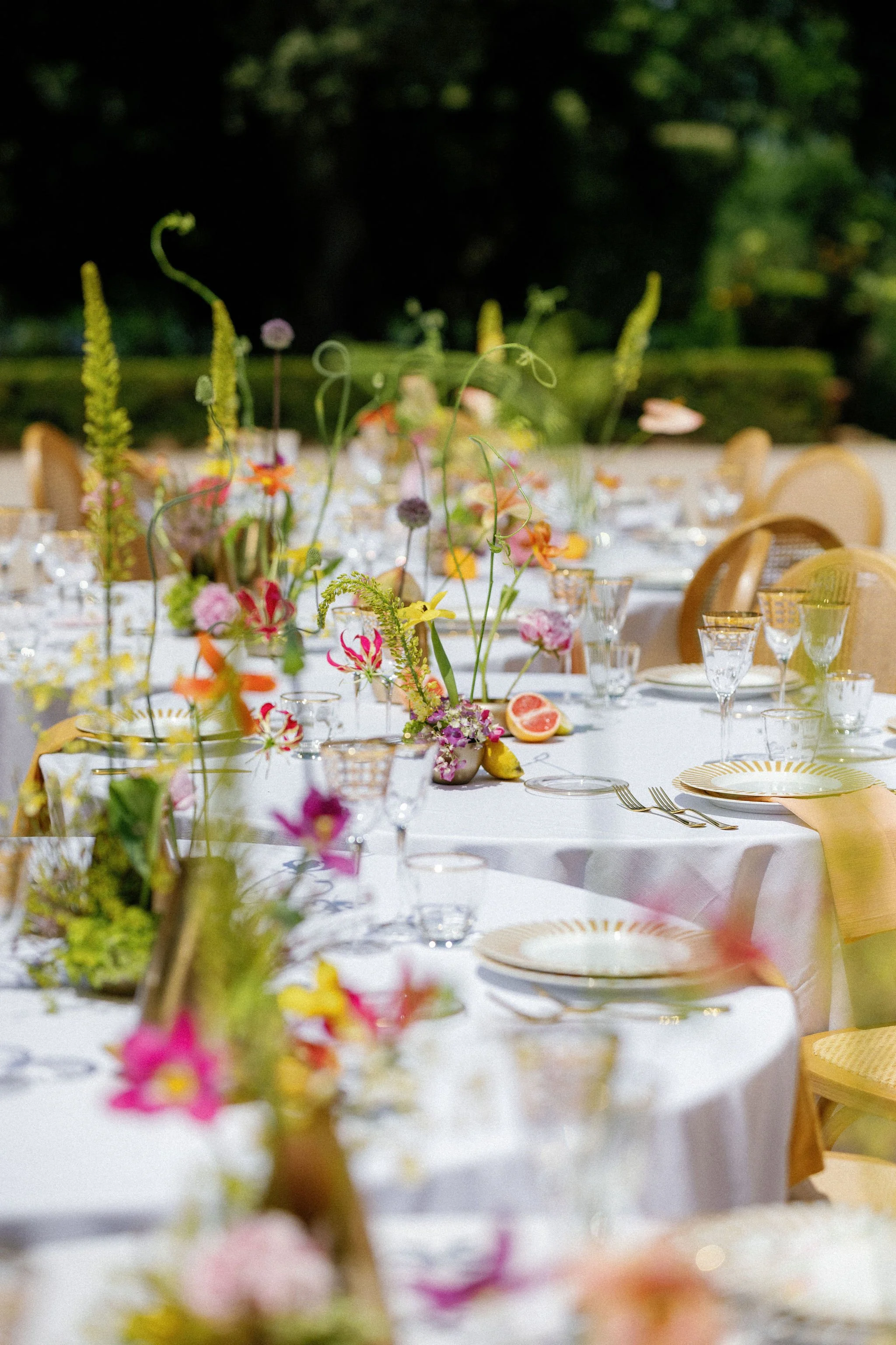 Maria Francesca Nitti5.jpg