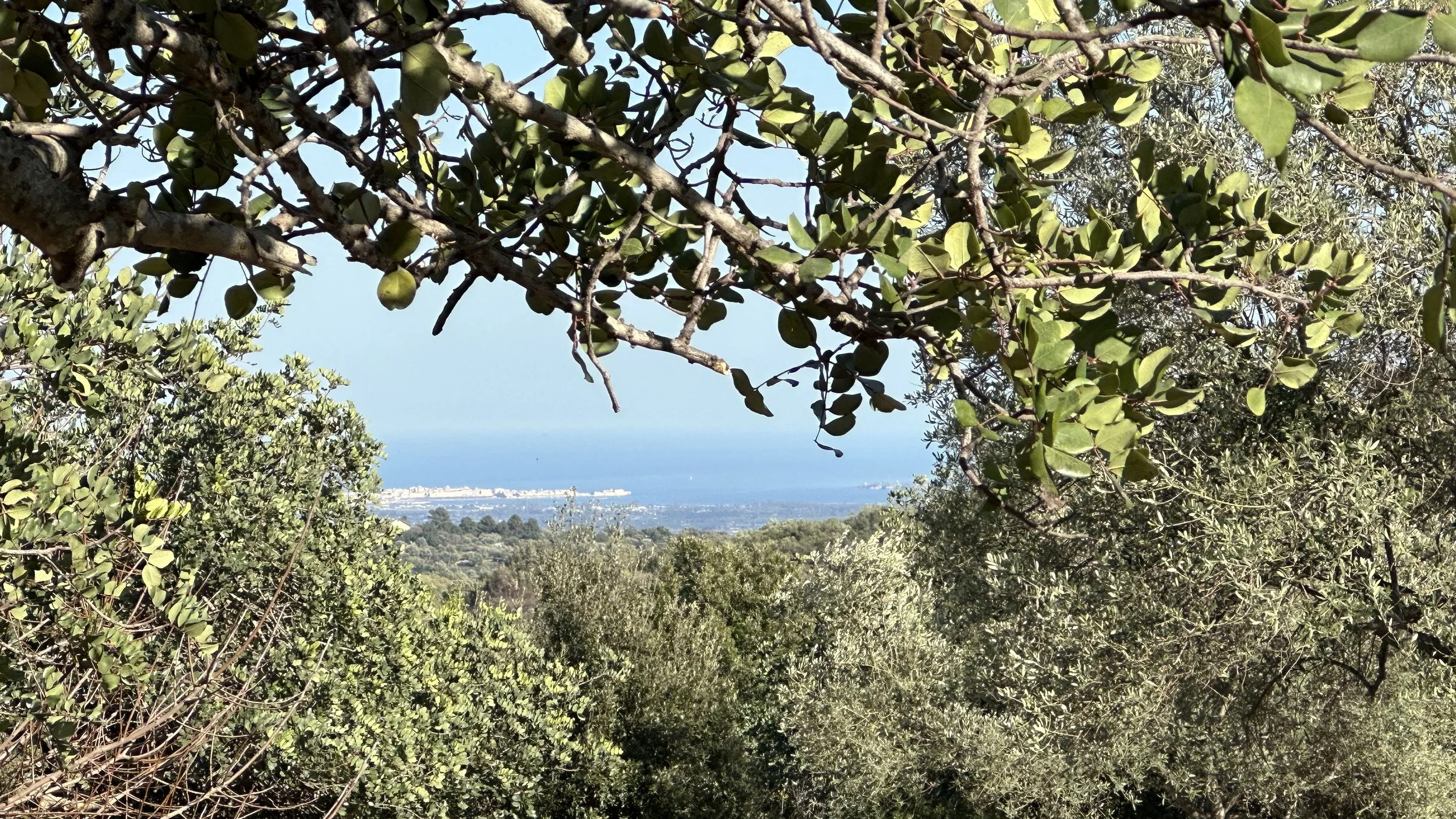 Terre d'Anemà | Wedding Venue in Val di Noto, Sicily.JPG