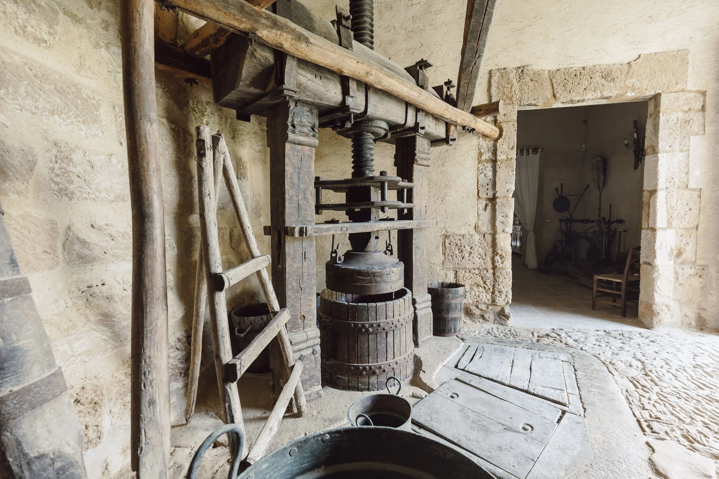 6944400d0326cd6b117ffaa7__72A6334 (2025-01-21T14_40_19.999).jpg.jpg