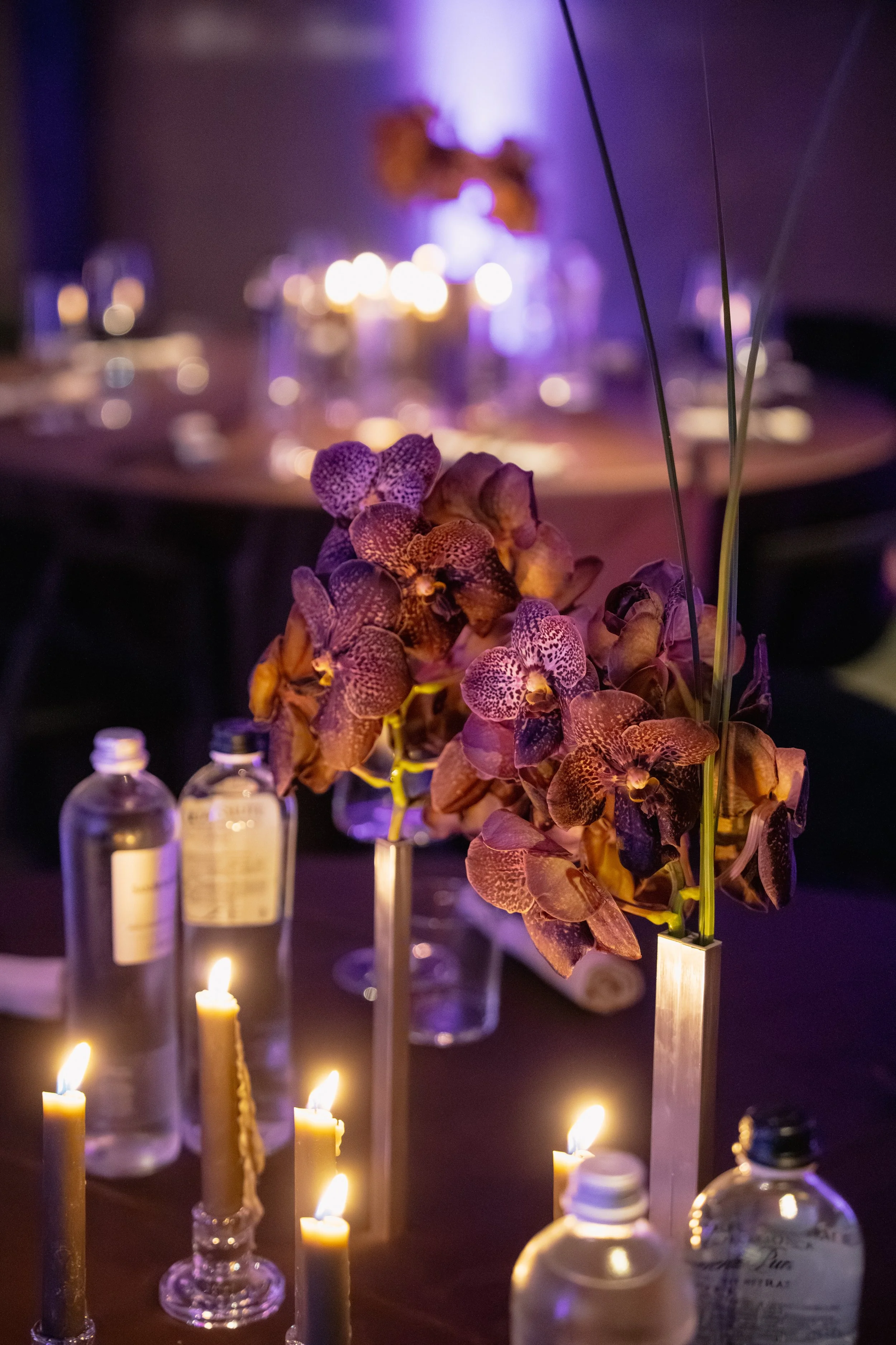 08_Sirolo-orchidee-vanda.jpg