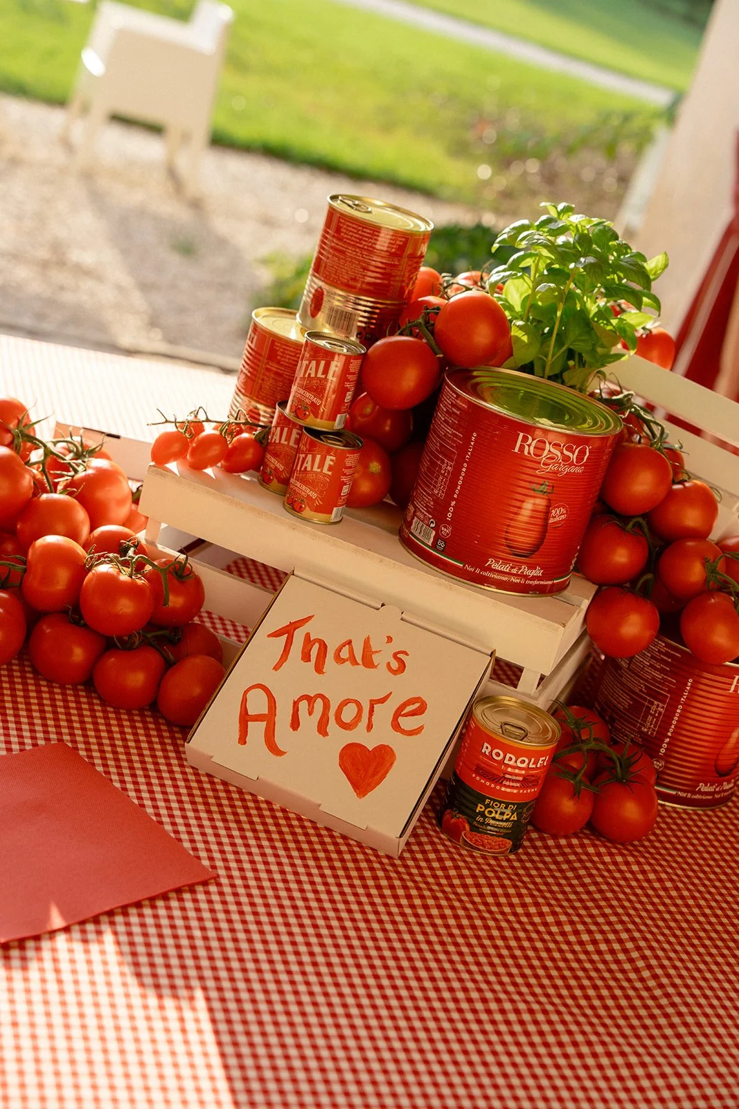 Martina Boggain(2).jpg