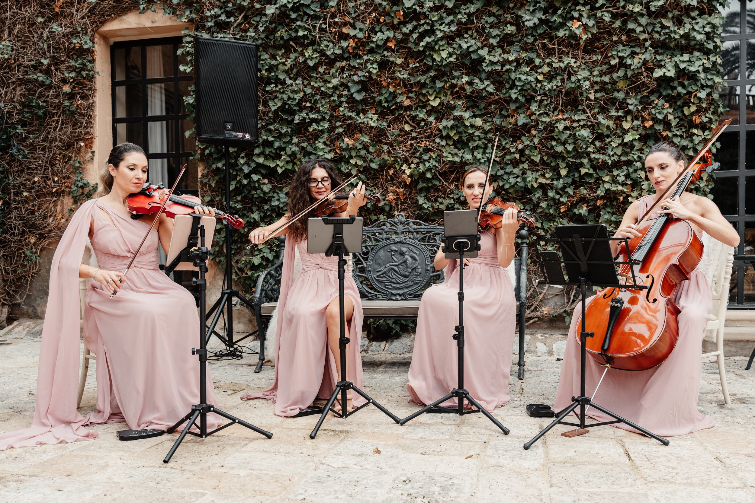 Violins-.jpg