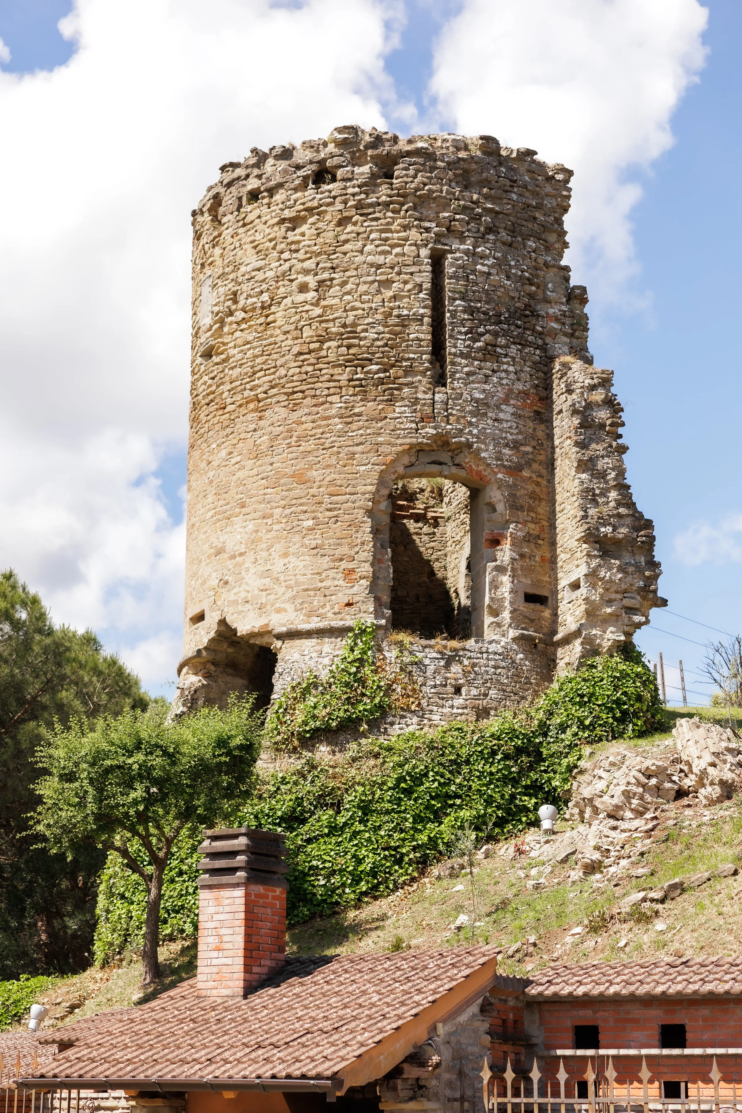 69a1802facb9f838ab777220_Carolina Serafini.jpeg.jpg