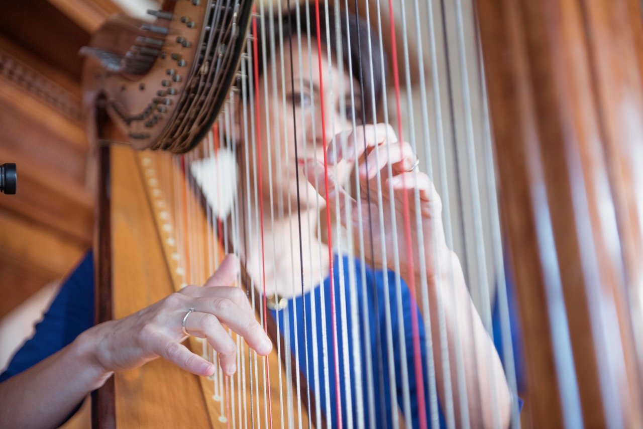 wedding-harpist-italy-musica-evento-Valentina Fusco photography.jpg