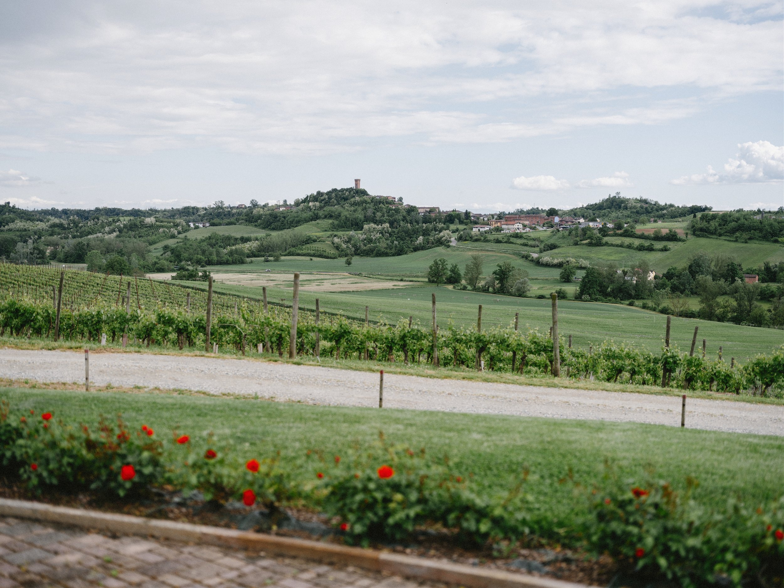 Tenuta Montemagno | Vineyard Wedding Venue in Piedmont.jpg