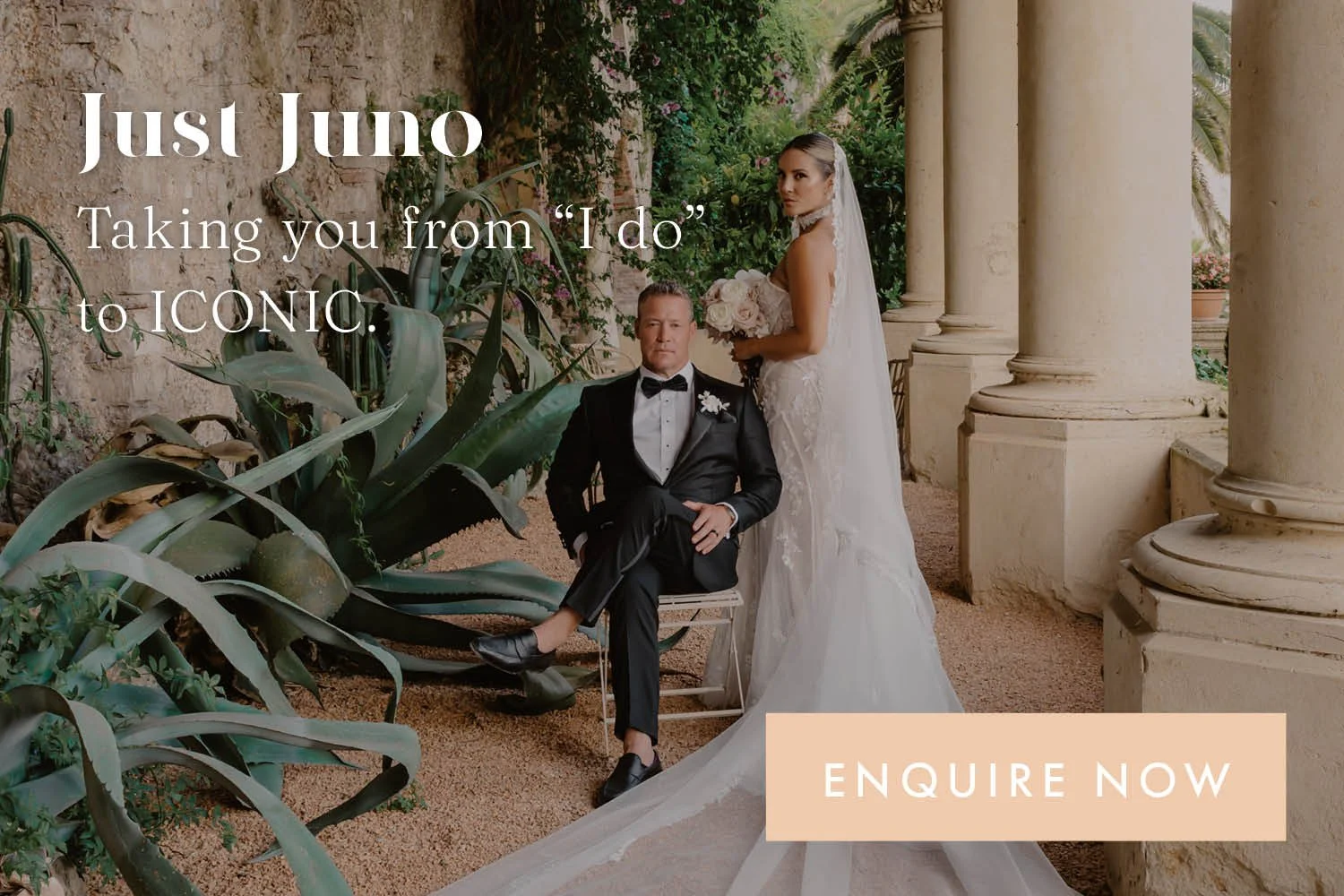 Noticeboard Assets Wide January - Just Juno - 3.jpg