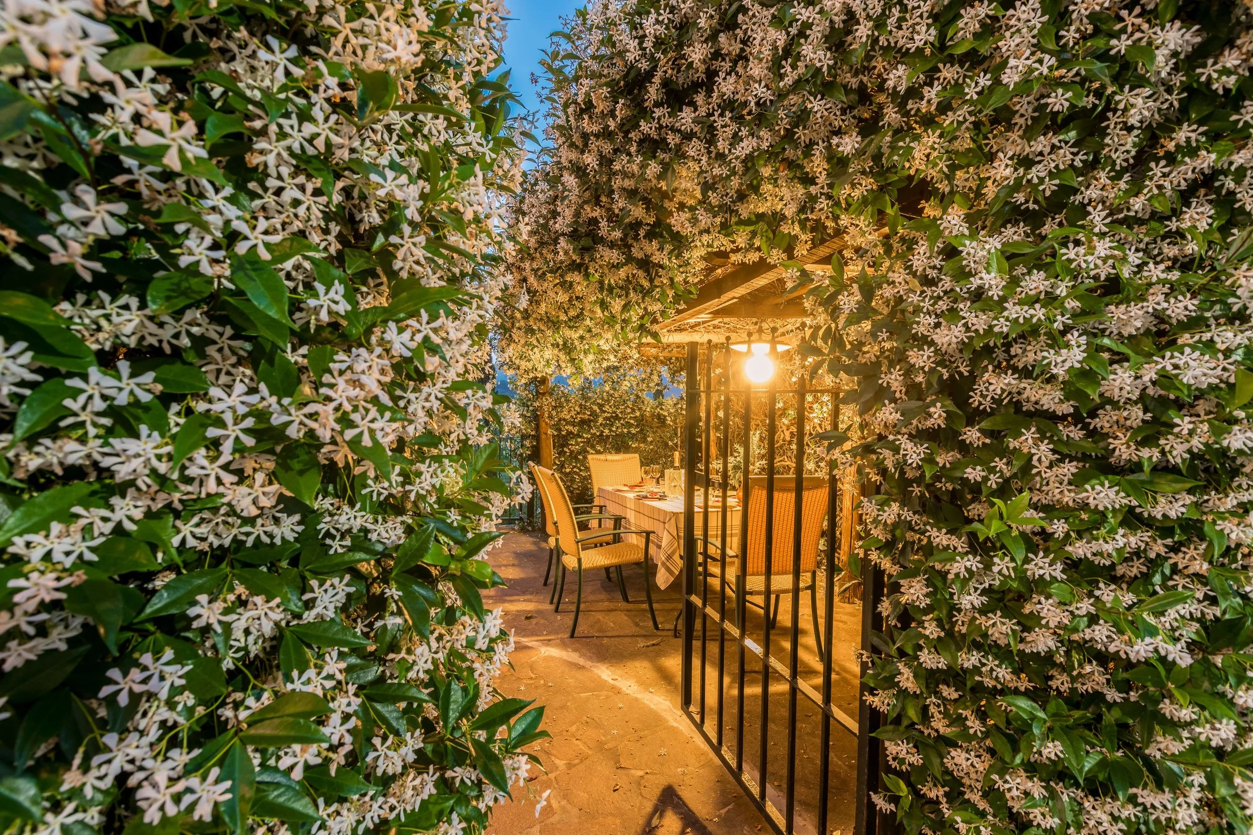 6992eeec97da294c214b8d1c_Villa Bellosguardo588-2.jpg.jpg