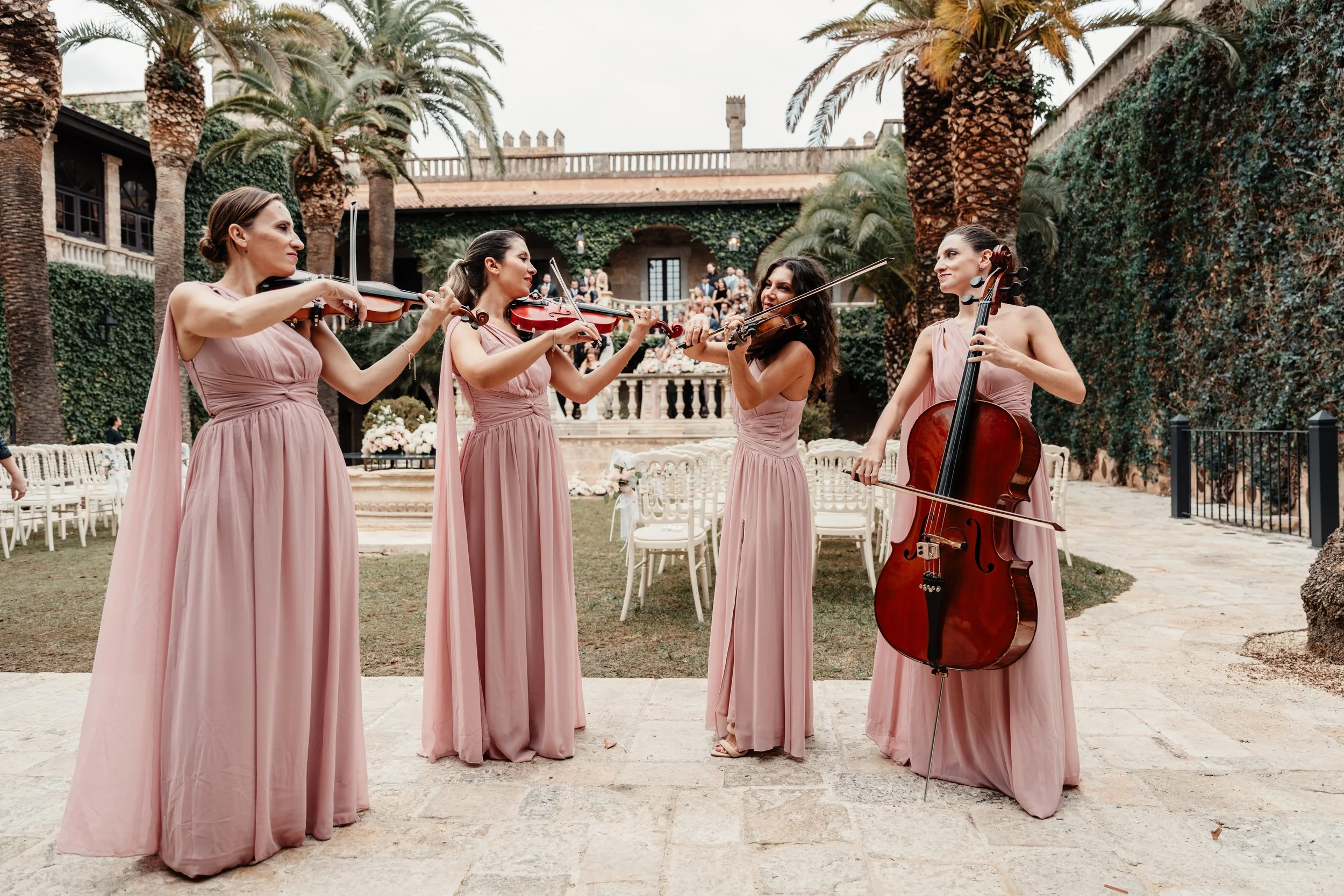 Violins--17.jpg