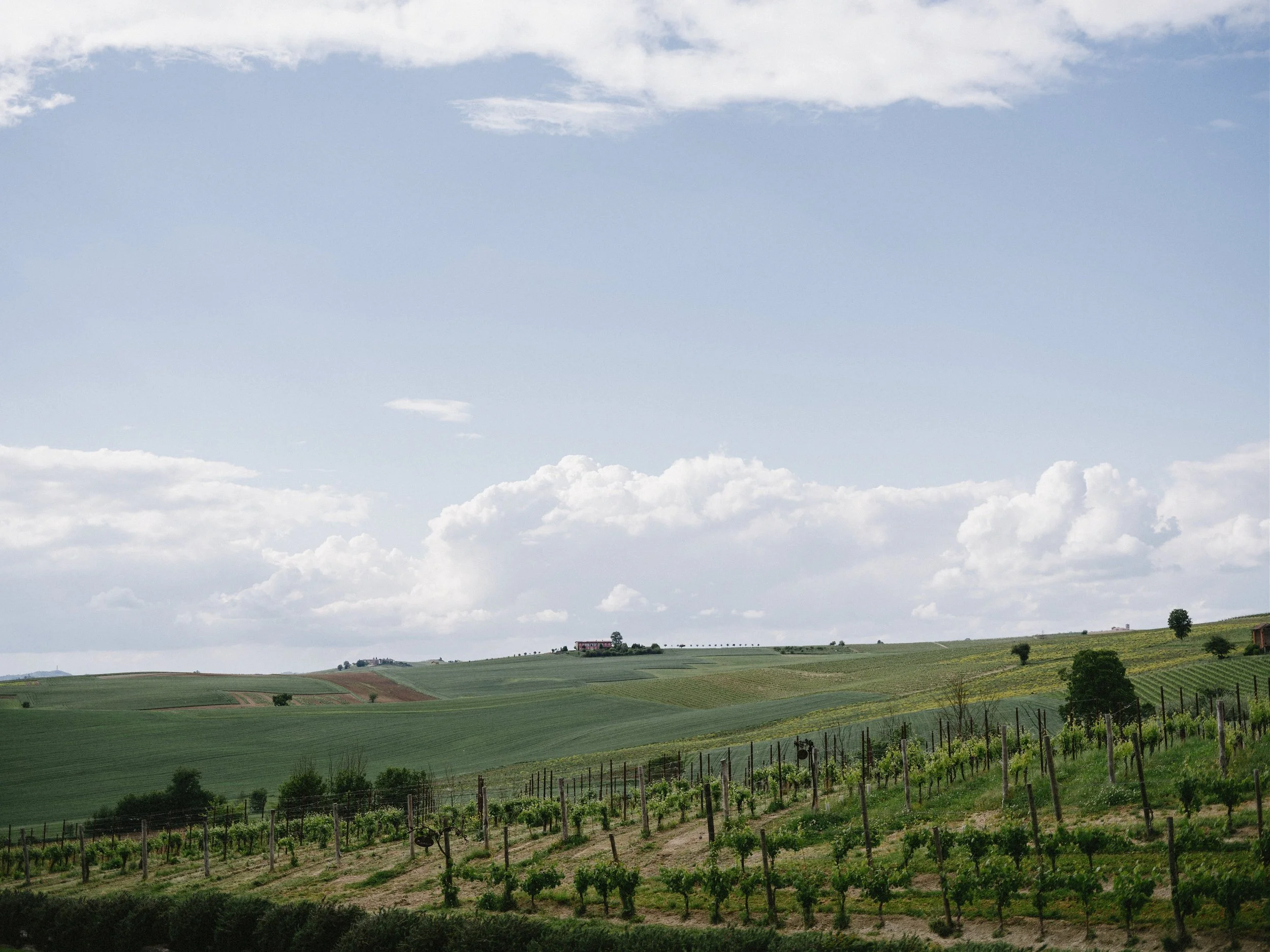 Tenuta Montemagno | Vineyard Wedding Venue in Piedmont.jpg