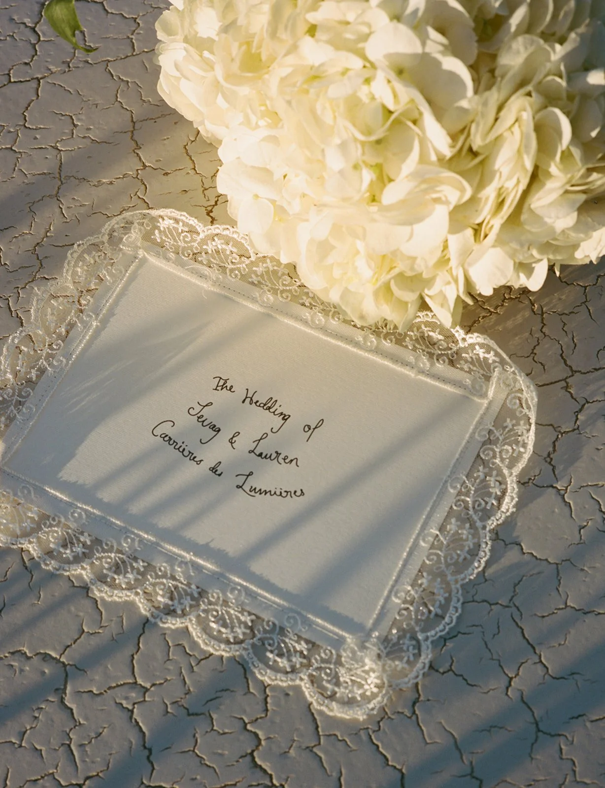 lauren sevag wedding-241.jpg