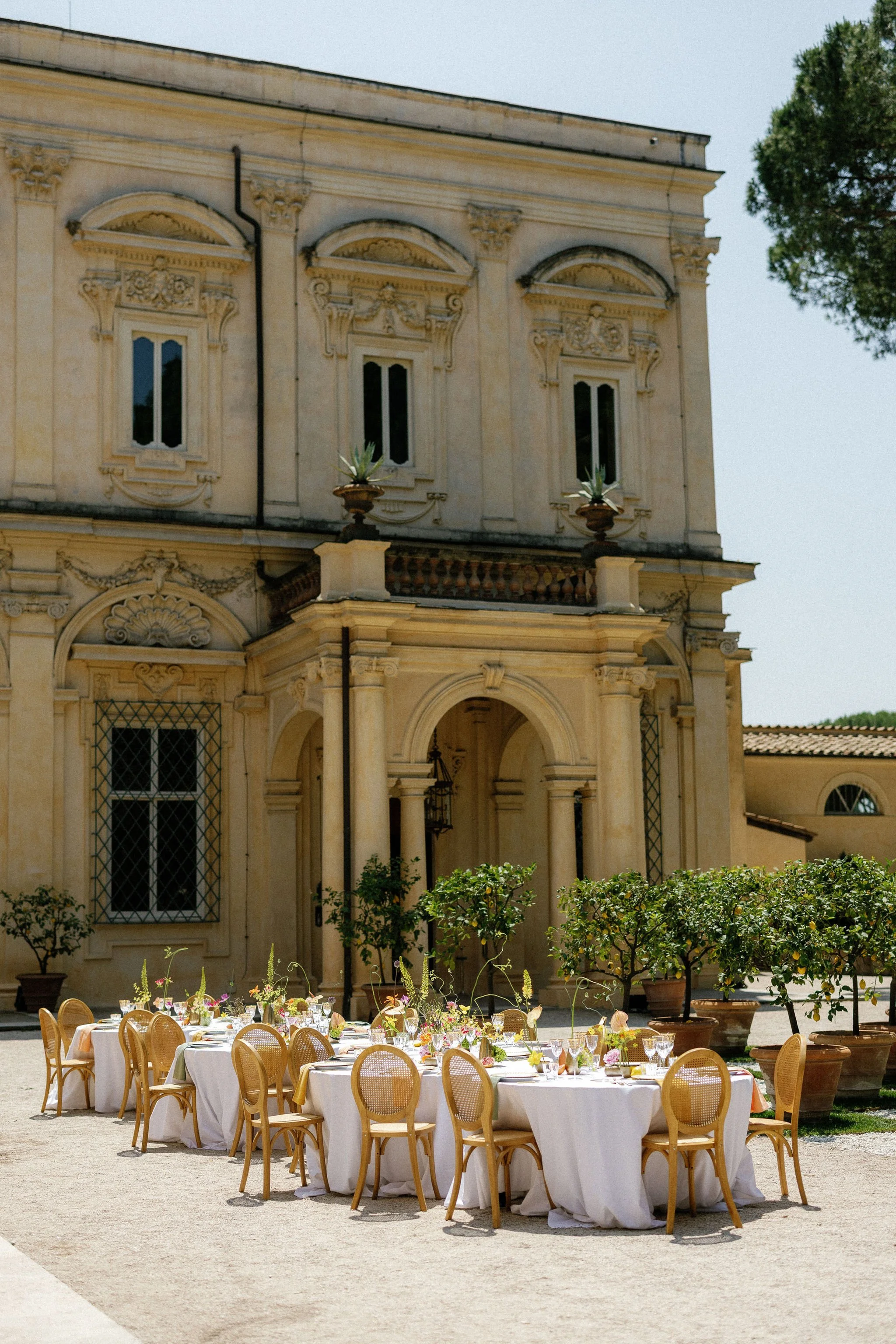 Maria Francesca Nitti.jpg