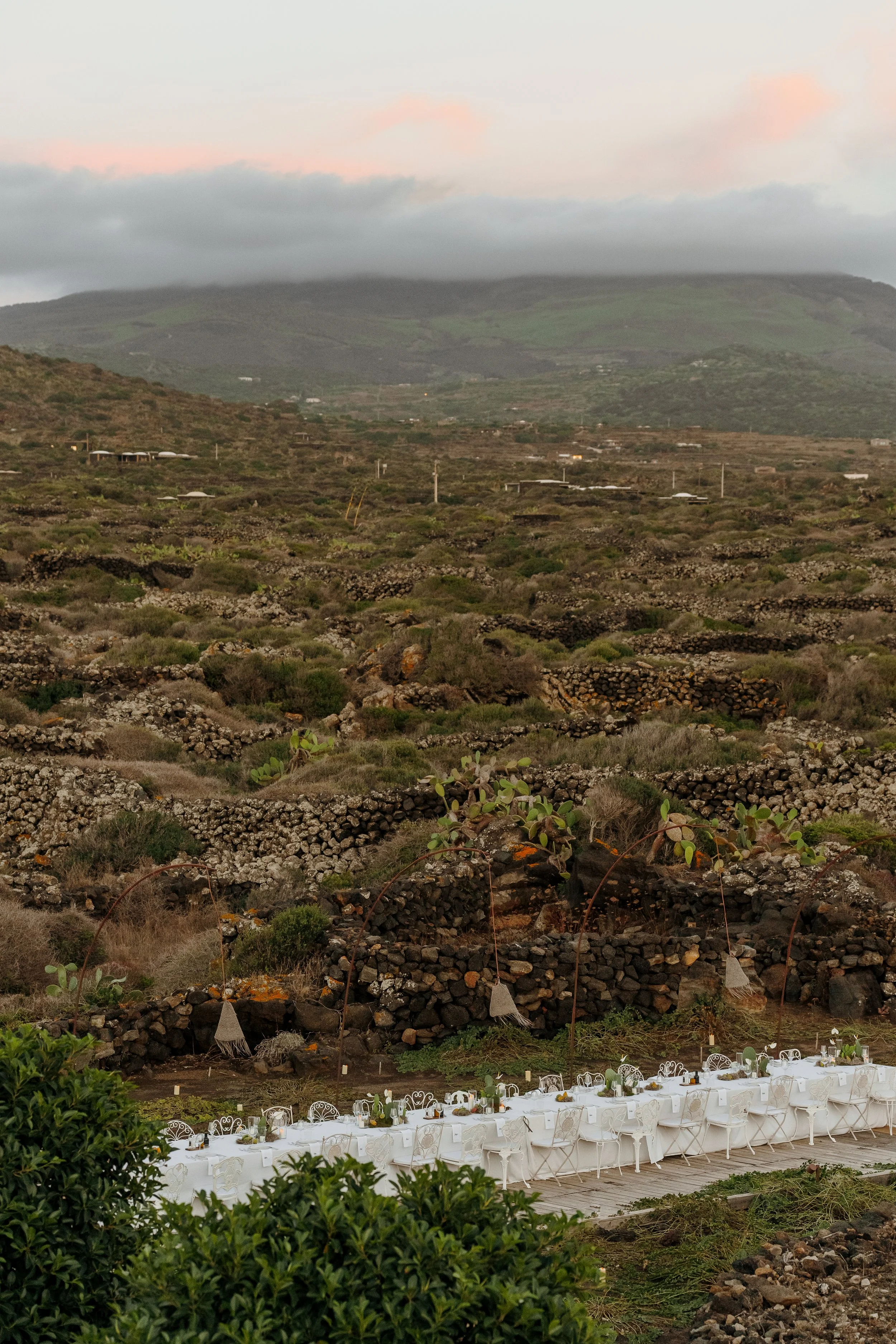 maximovawed.ru  33329.JPG