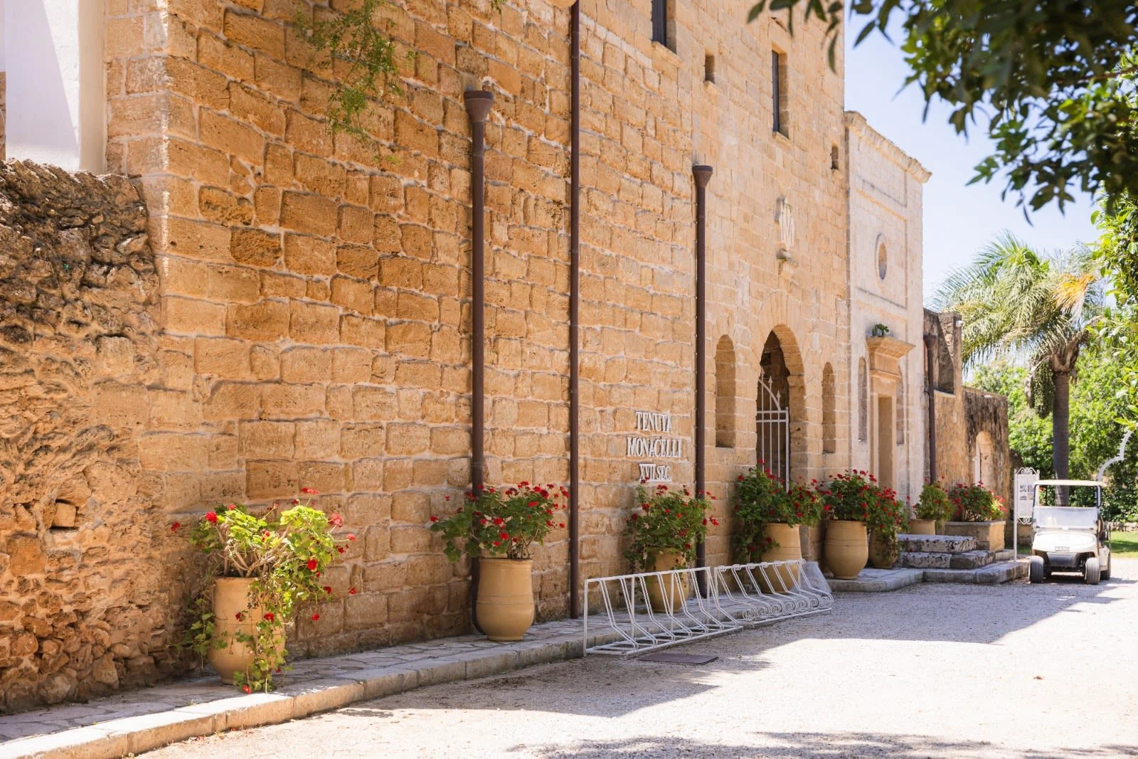 69736cef360e7f80f1496708_Immagine WhatsApp 2025-10-21 ore 13.25.36_c2909251.jpg.jpg