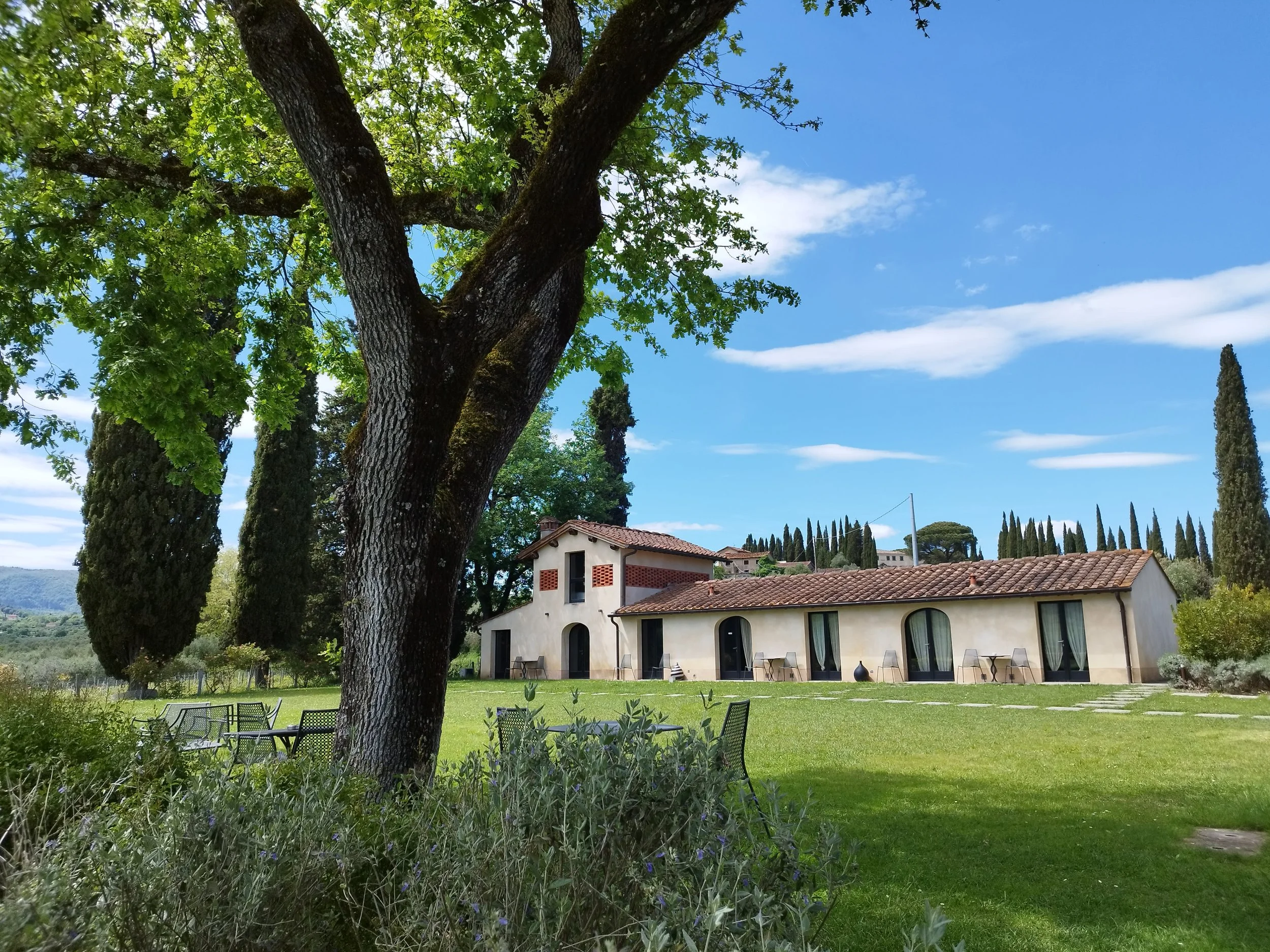 69aa9a67150085a8601de271_IMG_20240505_141116 (1).jpg.jpg