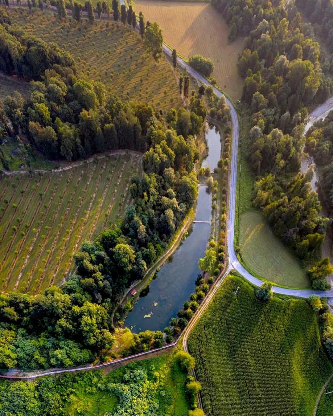 Morozzo Castle, top wedding venue in Piemonte.jpg