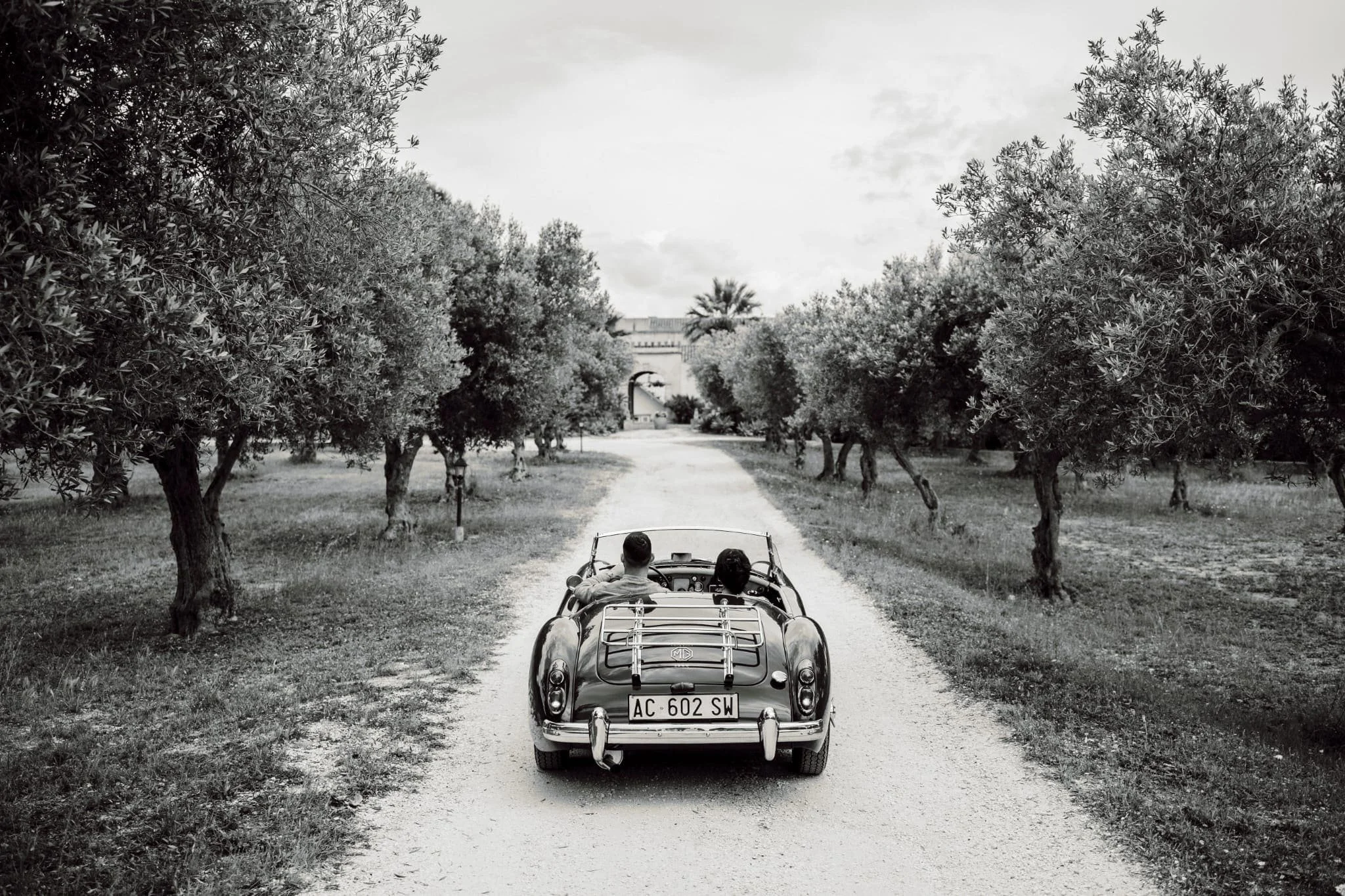 6944452889d7d7c39123c4d0_WhatsApp Image 2025-04-08 at 11.59.24.jpeg.jpg