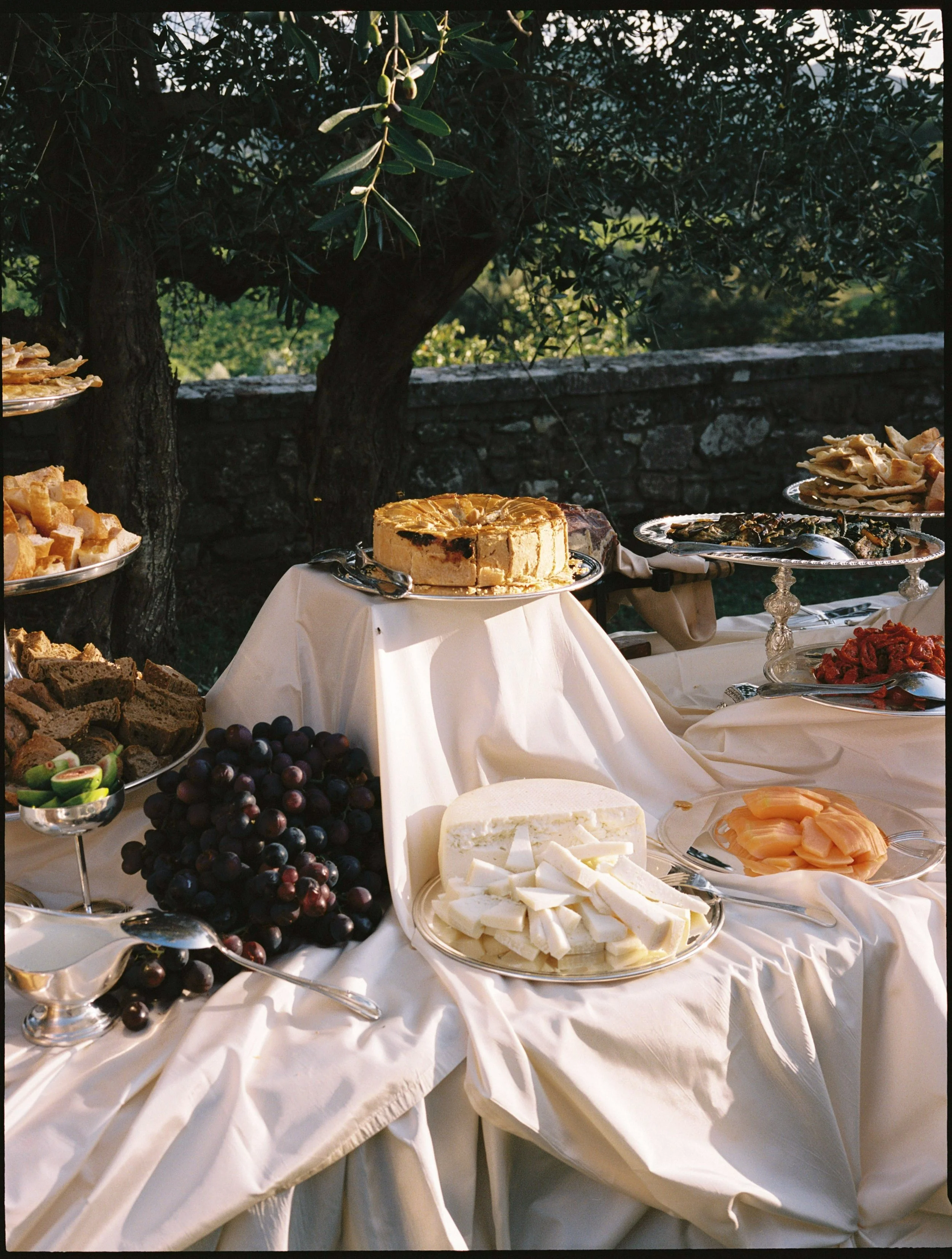 Janessa & Andrew-67.jpg