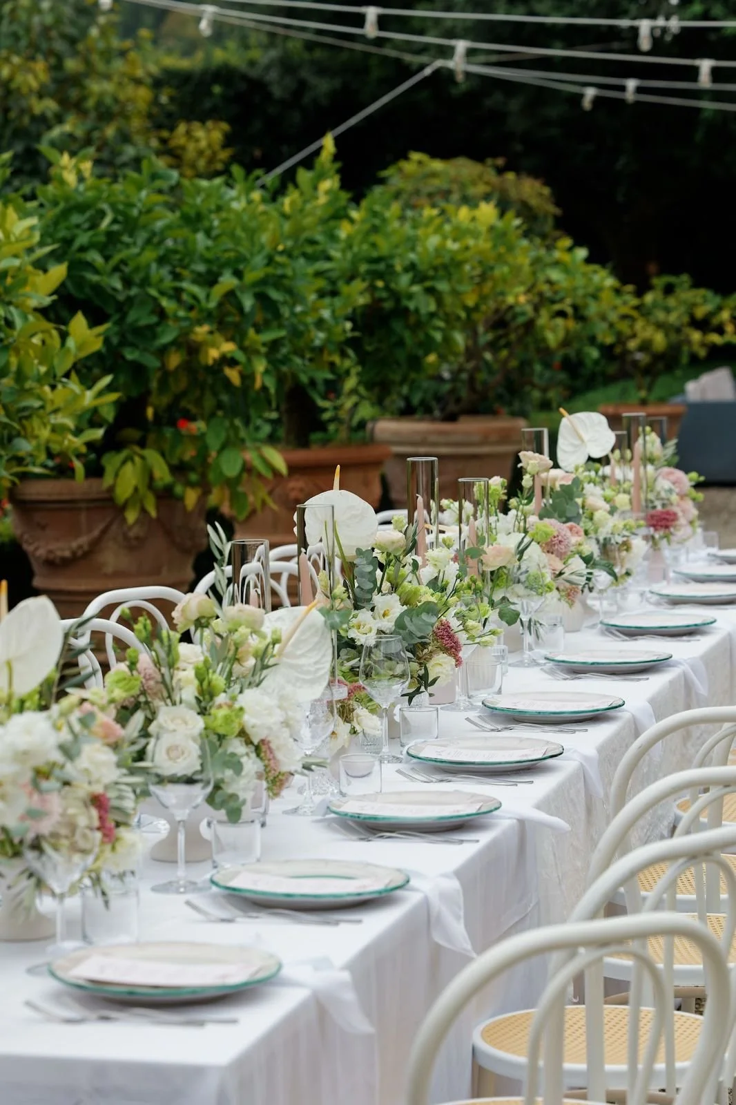 WhatsApp Image 2025-10-26 at 20.42.26.jpeg