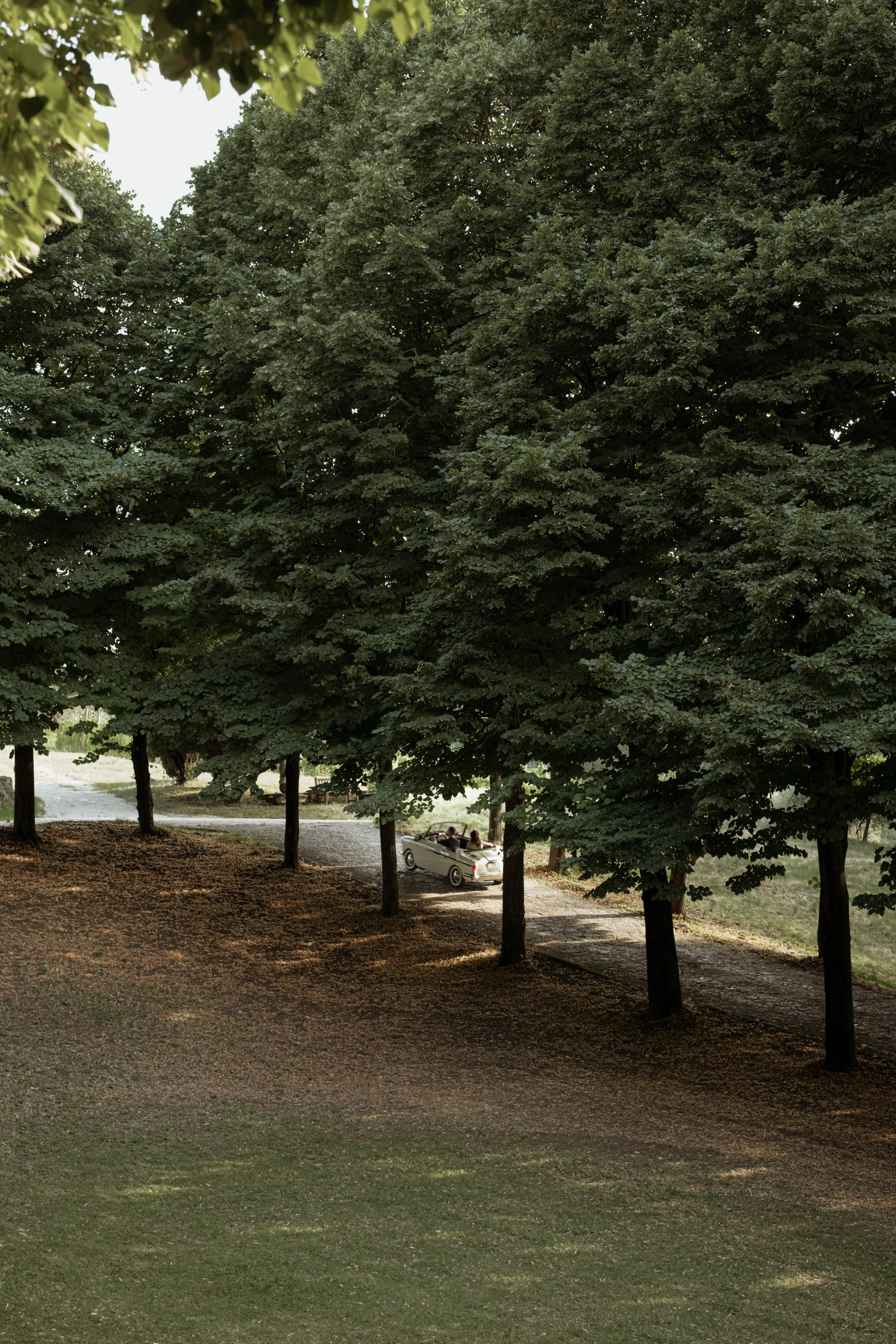 Fondo Rubro | Vineyard Wedding Venue in Veneto, Italy.jpg