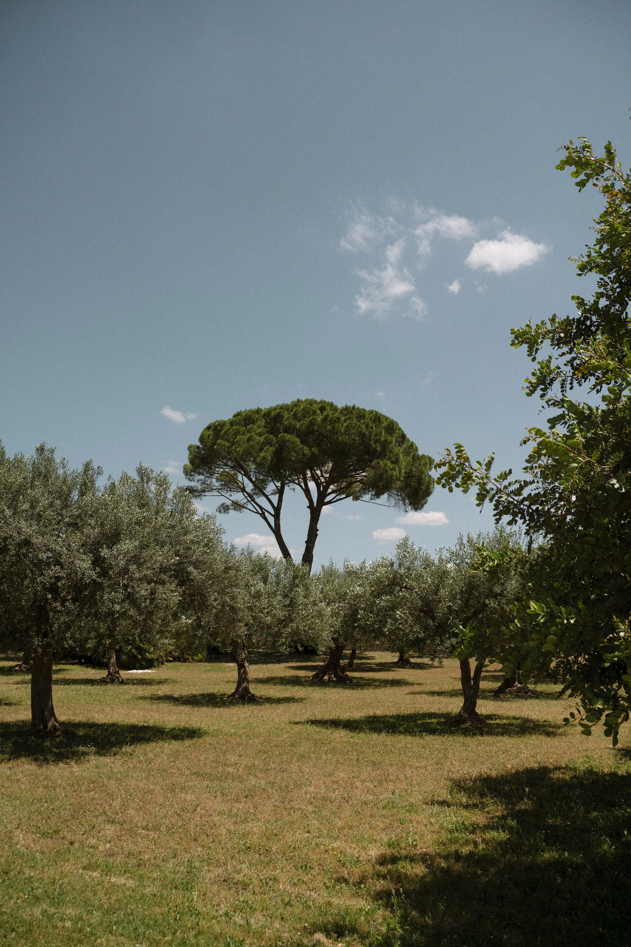 La Chiusa Country House Noto (60).jpg