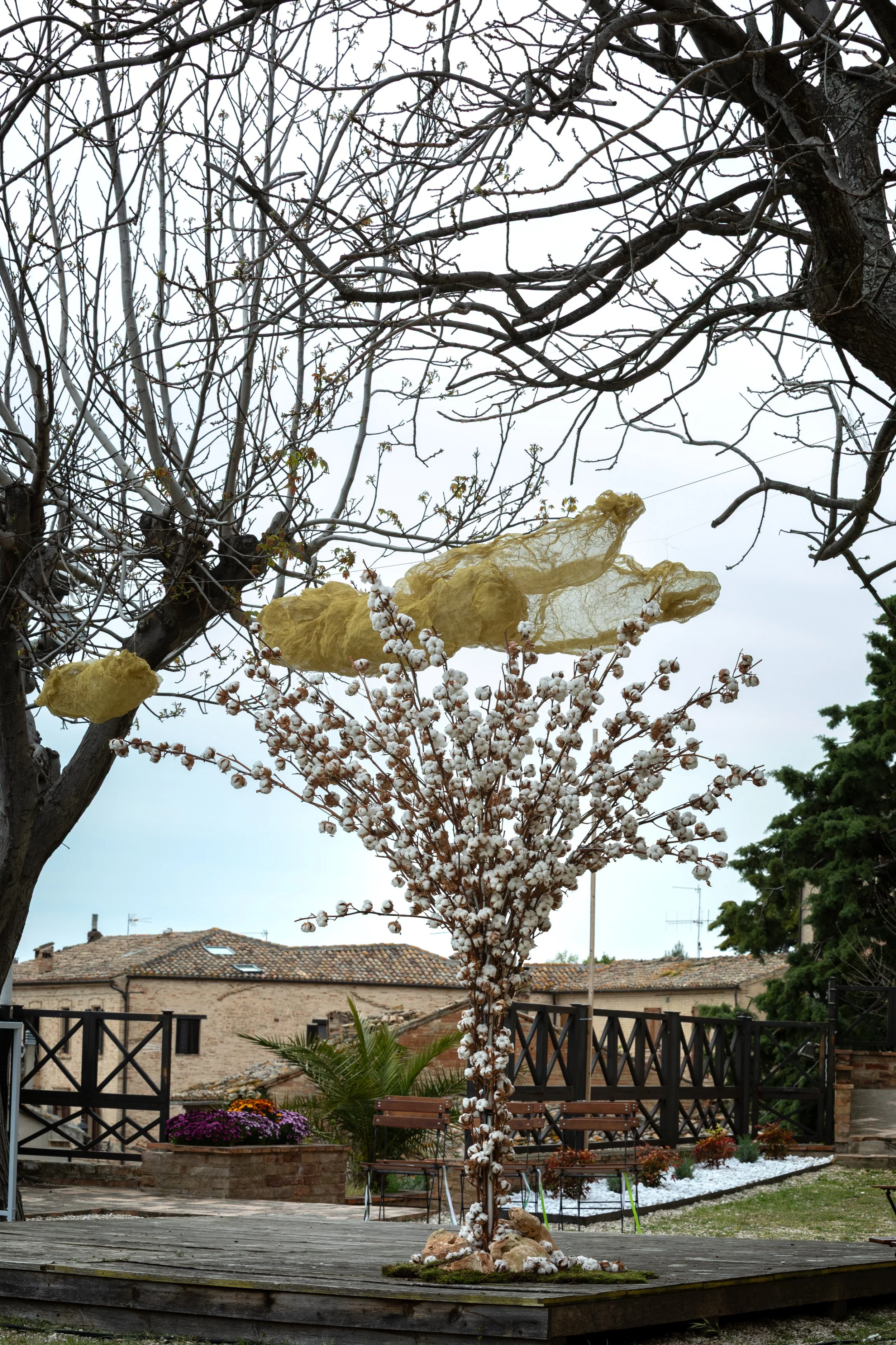 24_FA-albero-nuvole.jpg