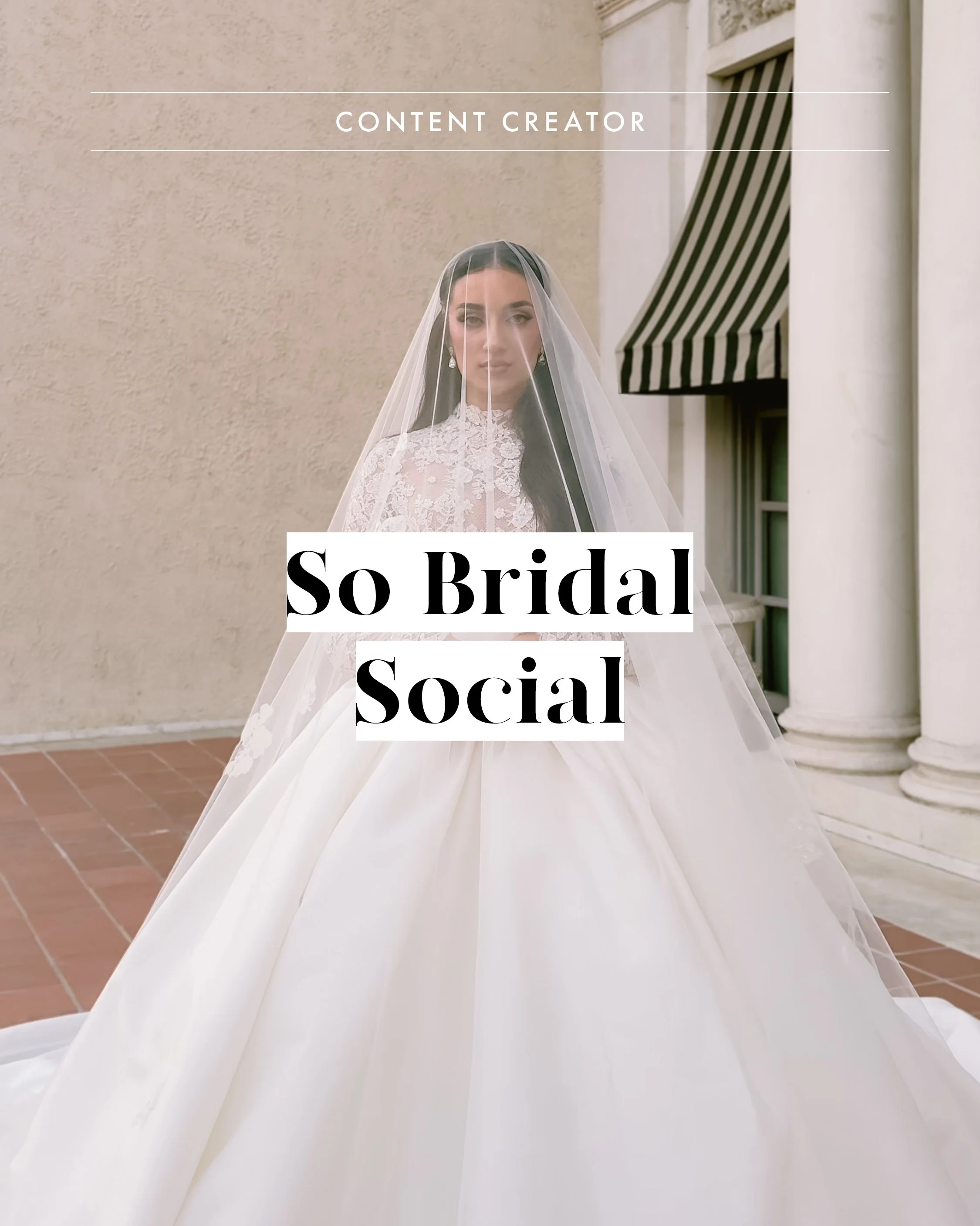 Vendor assets 31 March 20267.jpg