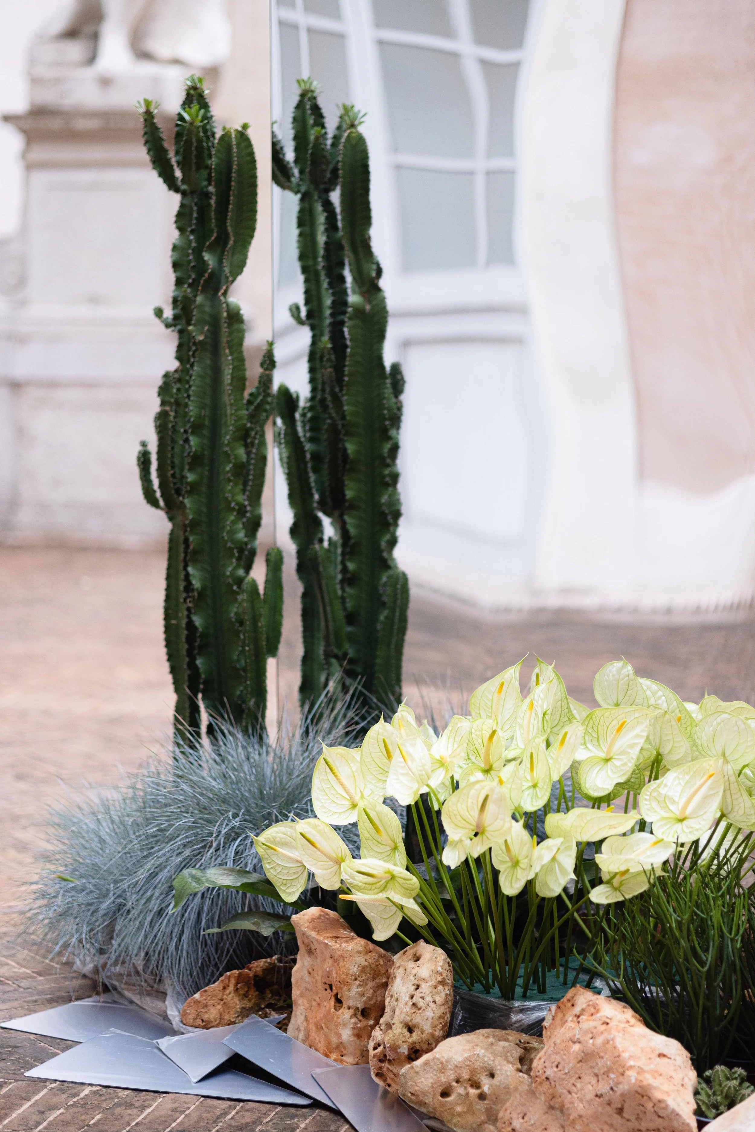 01_Buonaccorsi-cactus-anthurium.jpg