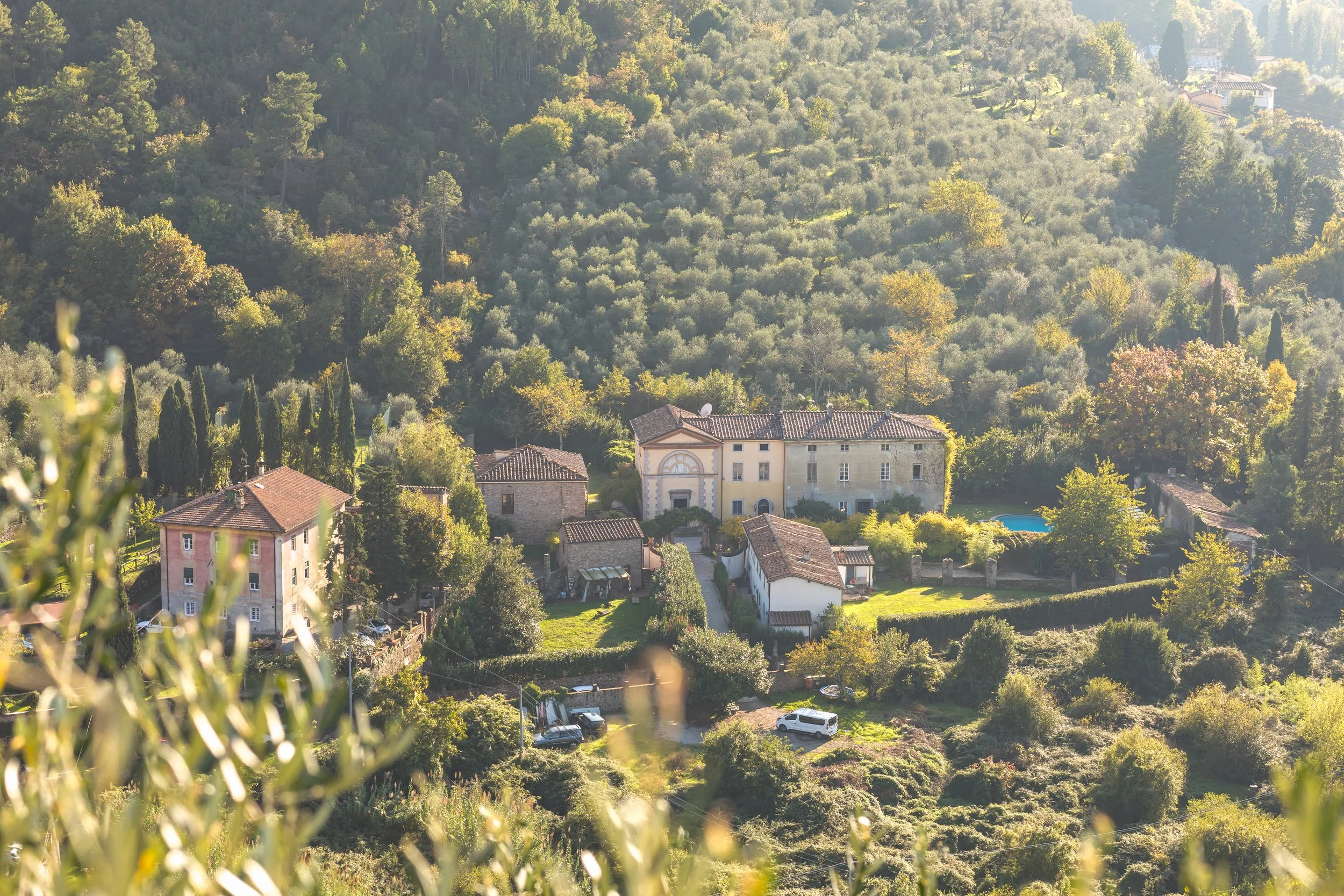 view_from_bertoli.jpg