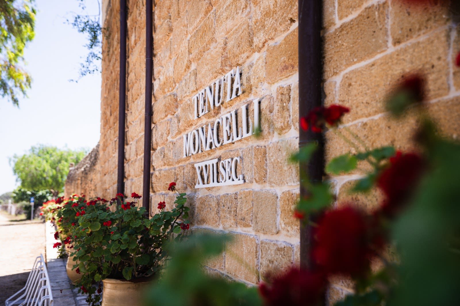 69736d8b360e7f80f149784f_Immagine WhatsApp 2025-10-21 ore 13.25.35_31e44bbf.jpg.jpg