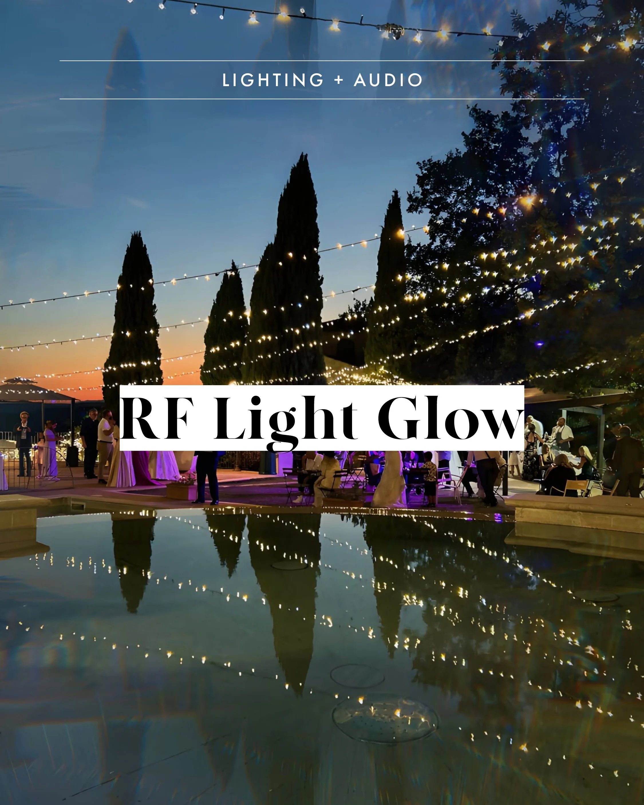 Vendor assets 17 Feb 20264.jpg