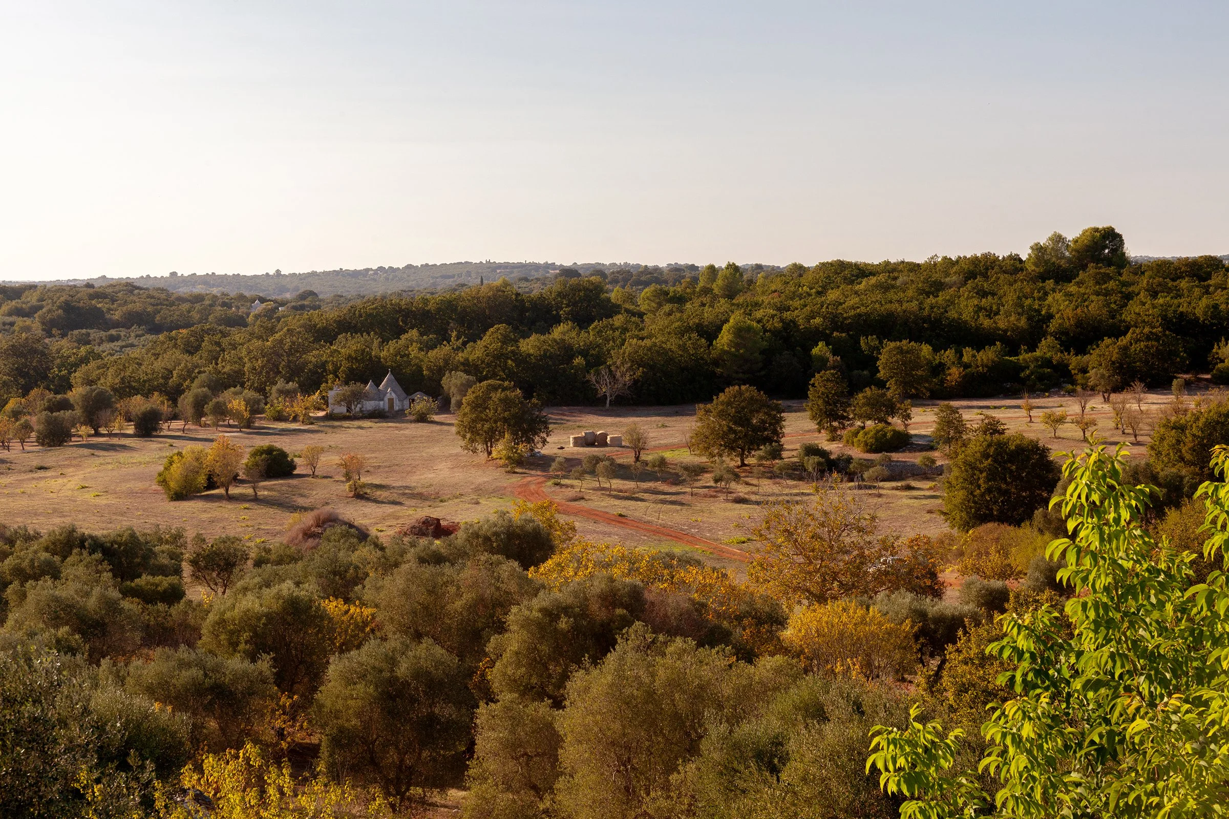 Trullo_Lucia_SEPT25_129.jpg