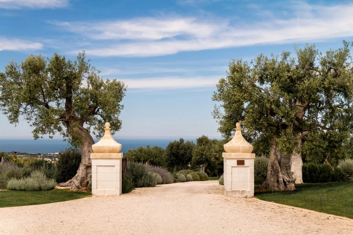 L1190814.jpg