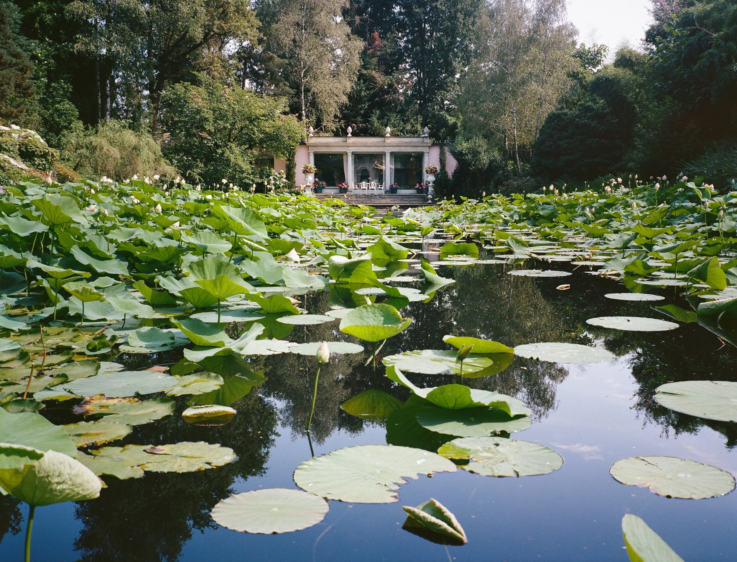 Copia di LaFoleia2025©AriannaRoda-111.jpg