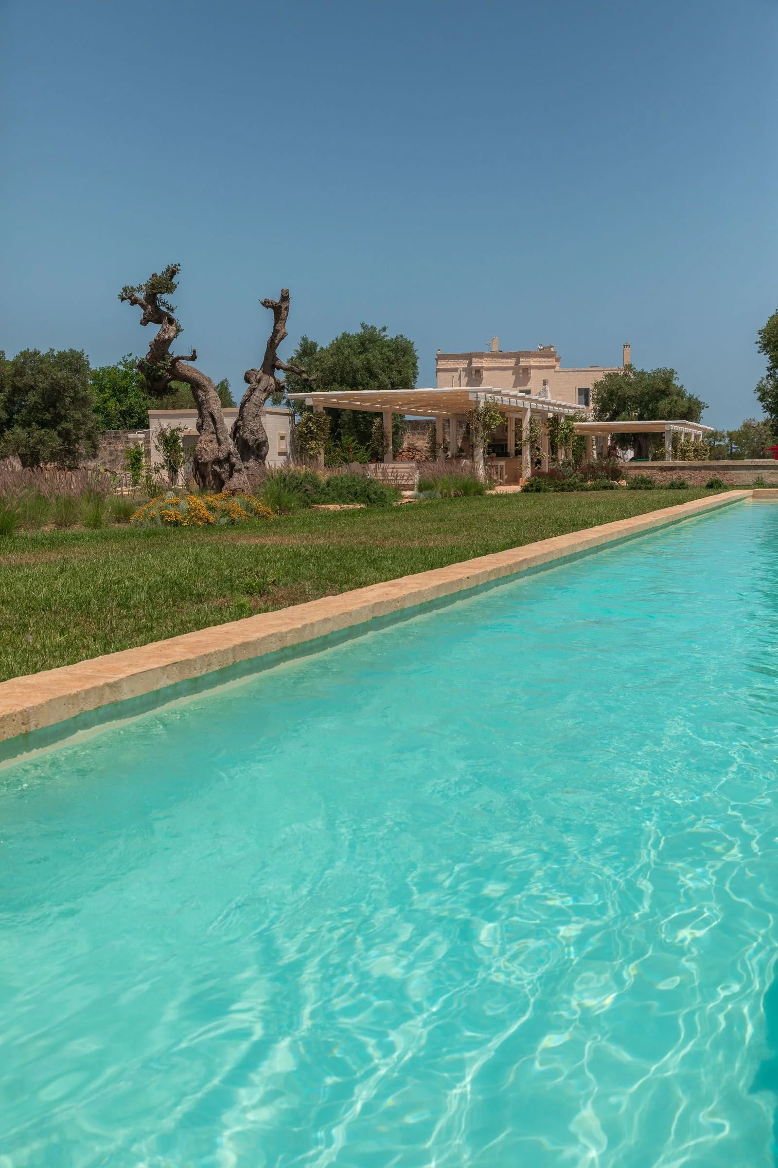 68874bb72ecc619dc7526bec_8 ph Masseria San Giovanni.jpg.jpg