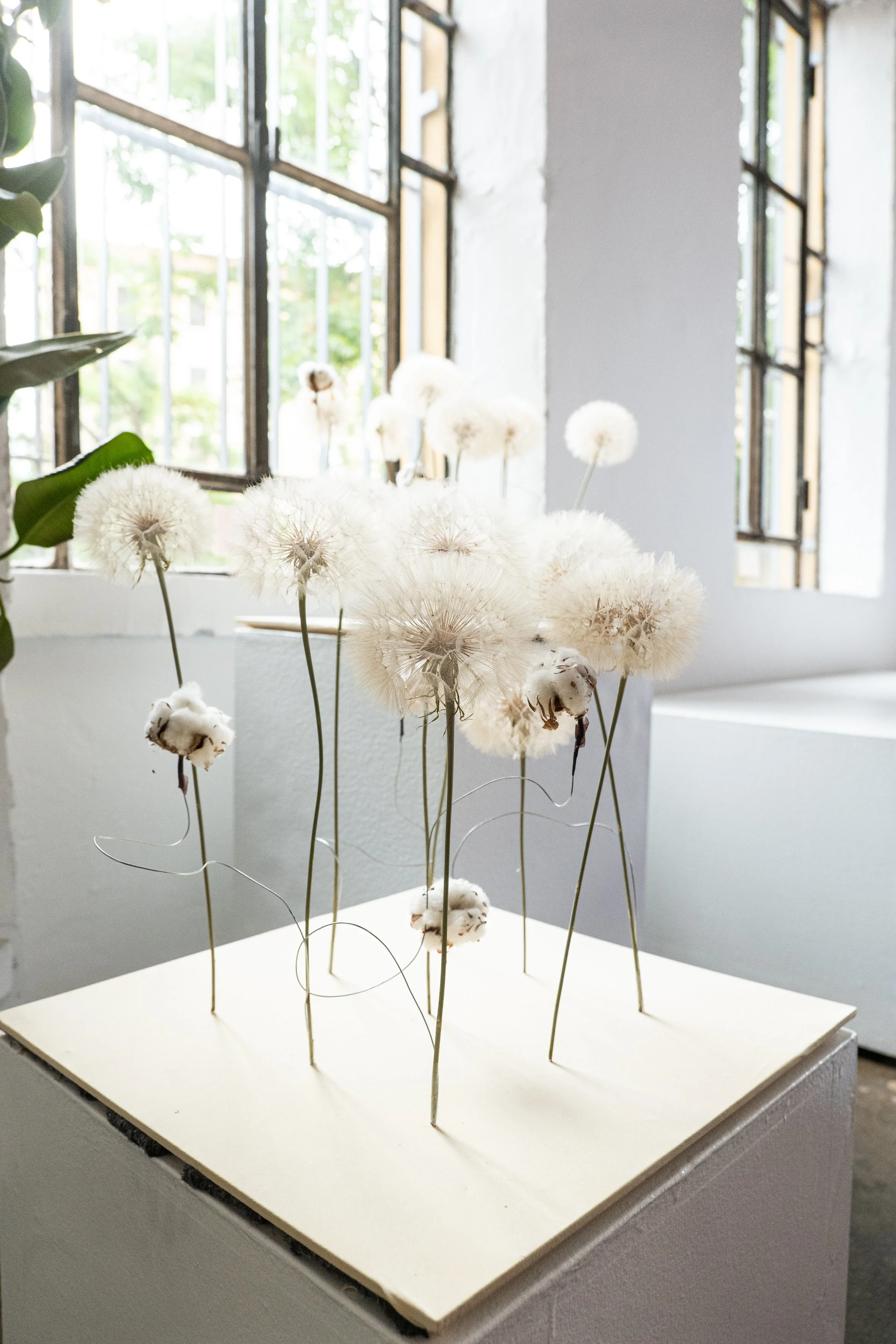 25_WIMFashion-soffioni.jpg