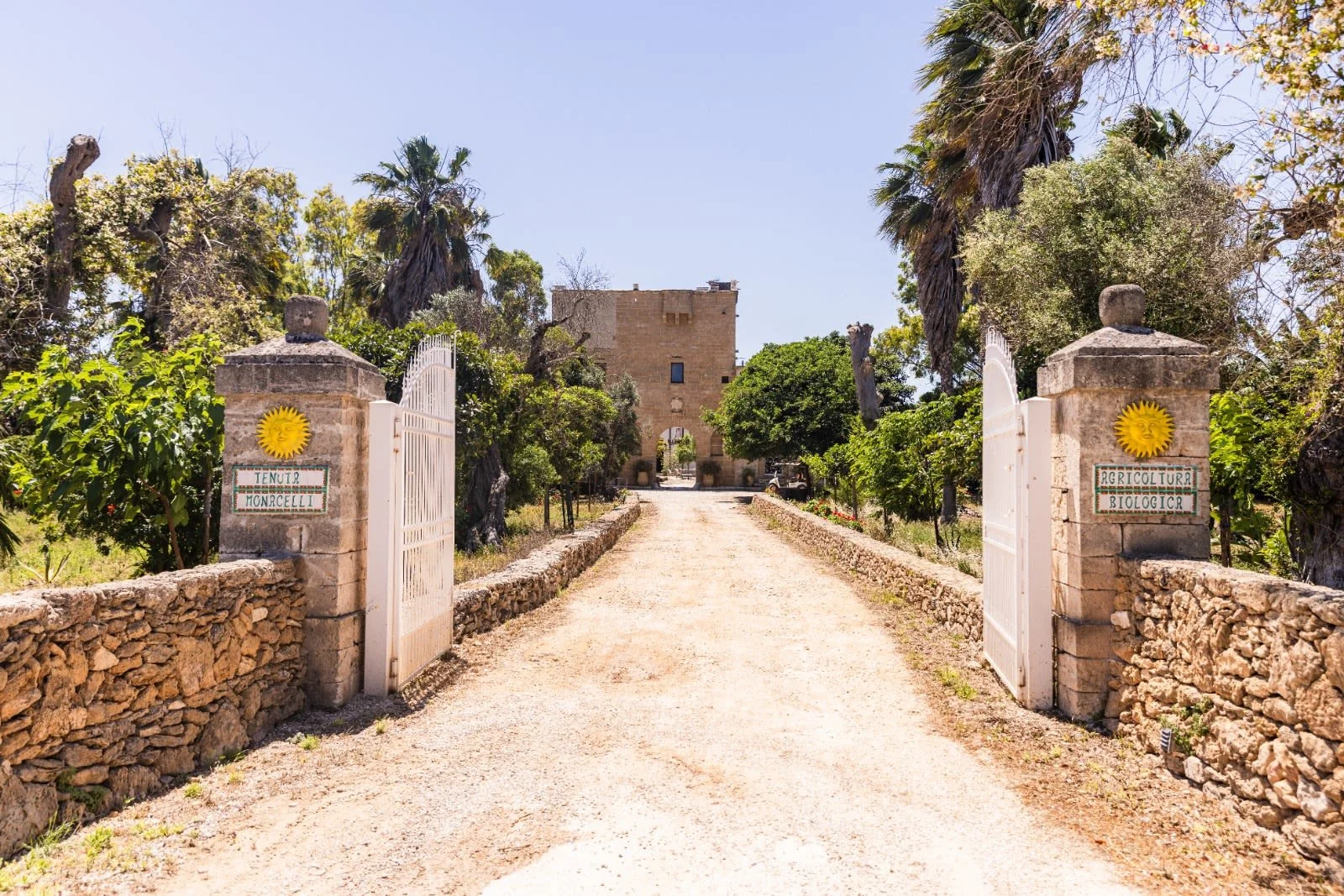 69736d6d360e7f80f14976cf_Immagine WhatsApp 2025-10-21 ore 13.25.30_02053b9f.jpg.jpg