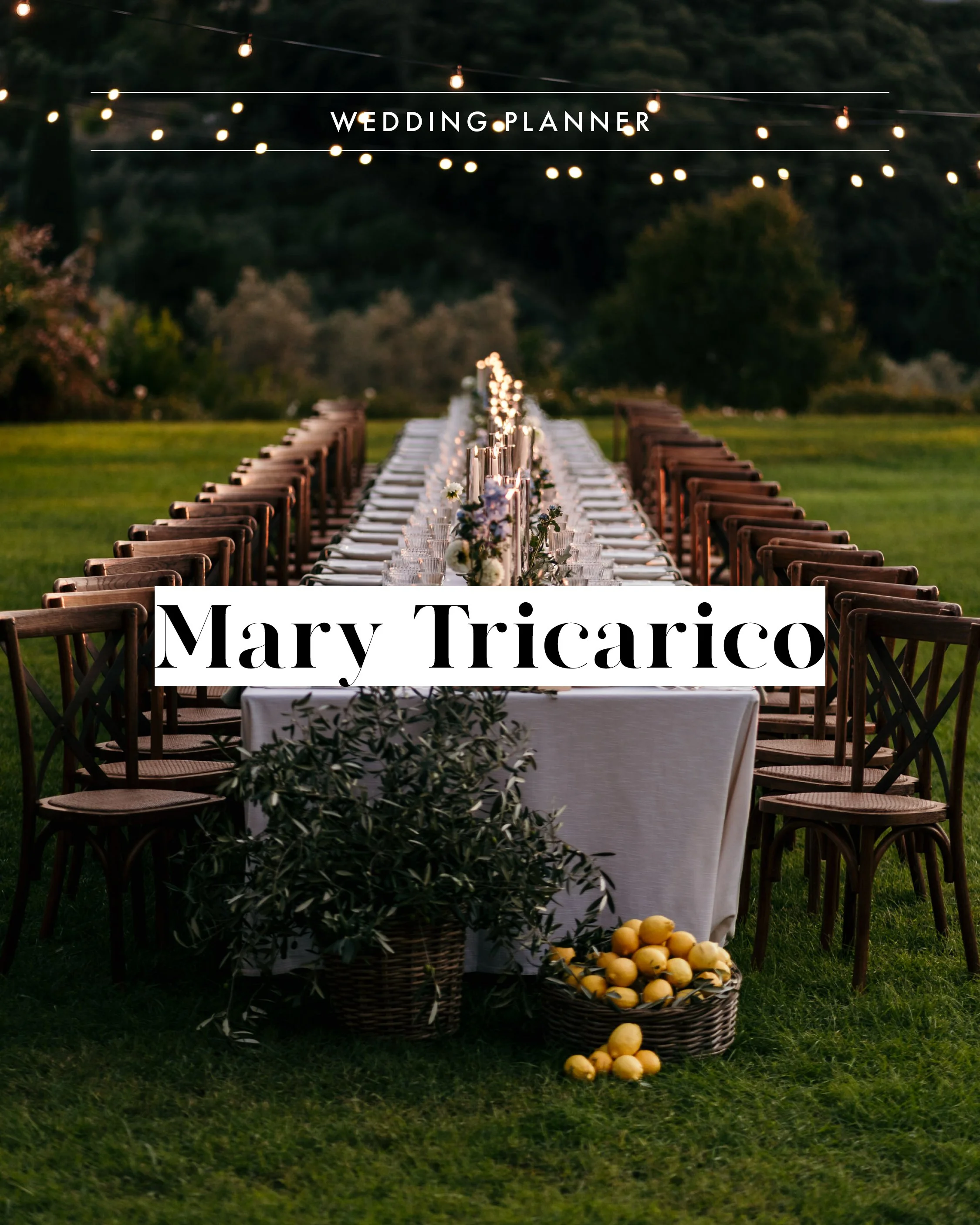 Vendor assets April 20263.jpg