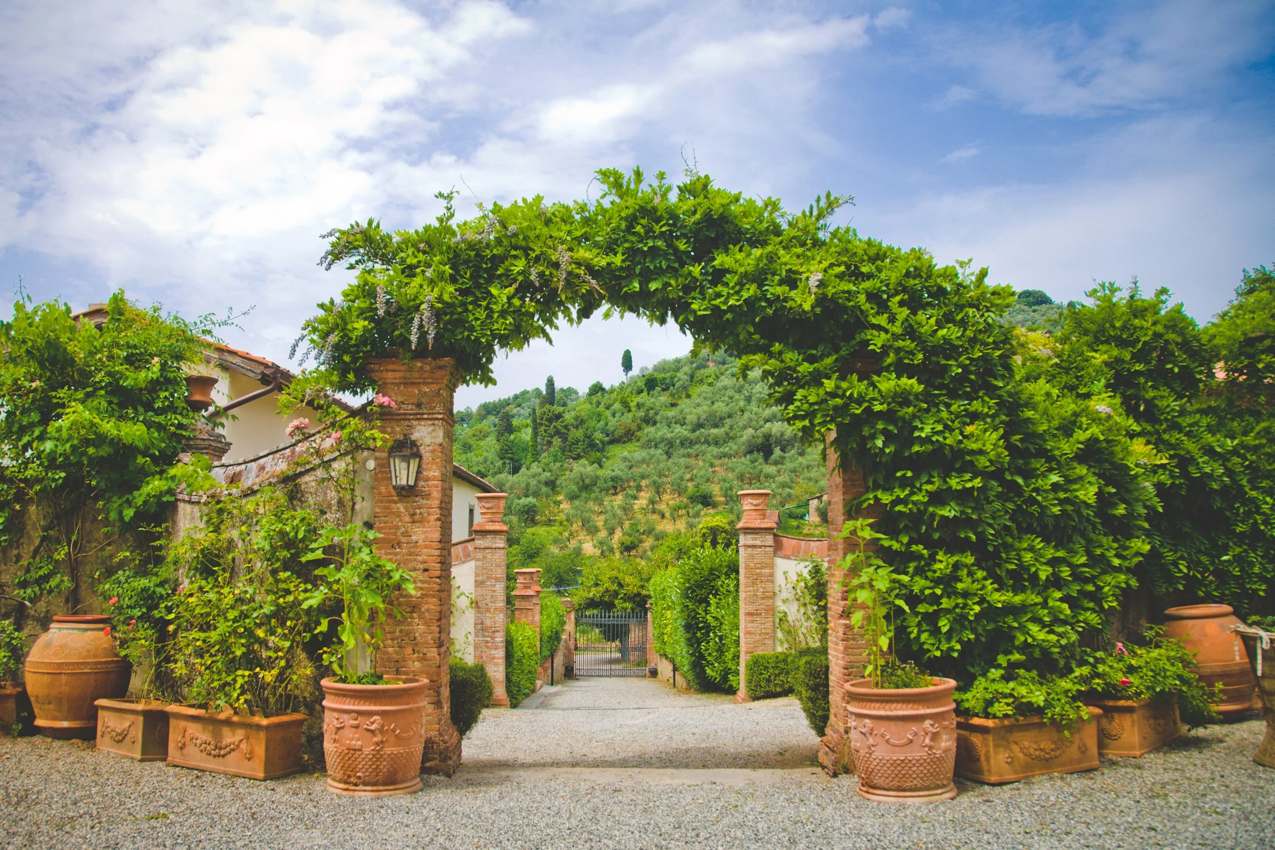 wisteria_arch.jpg