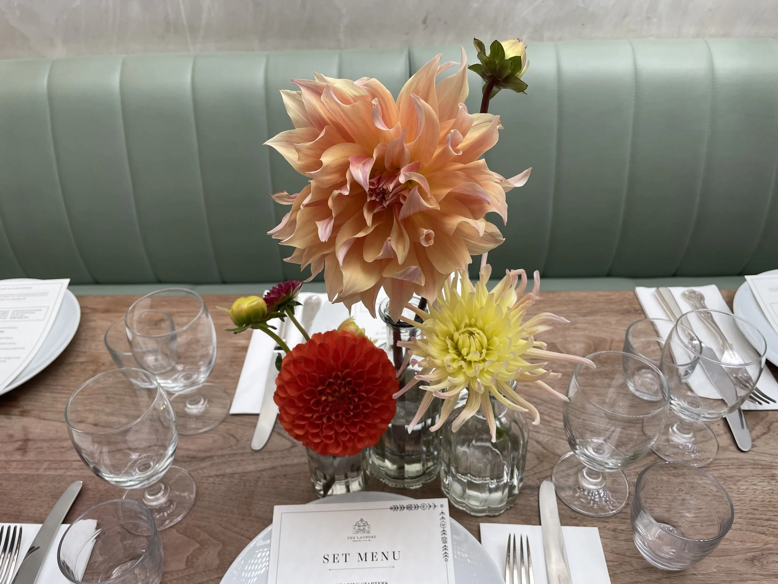 dahlia stems Victoria Clasen.jpg