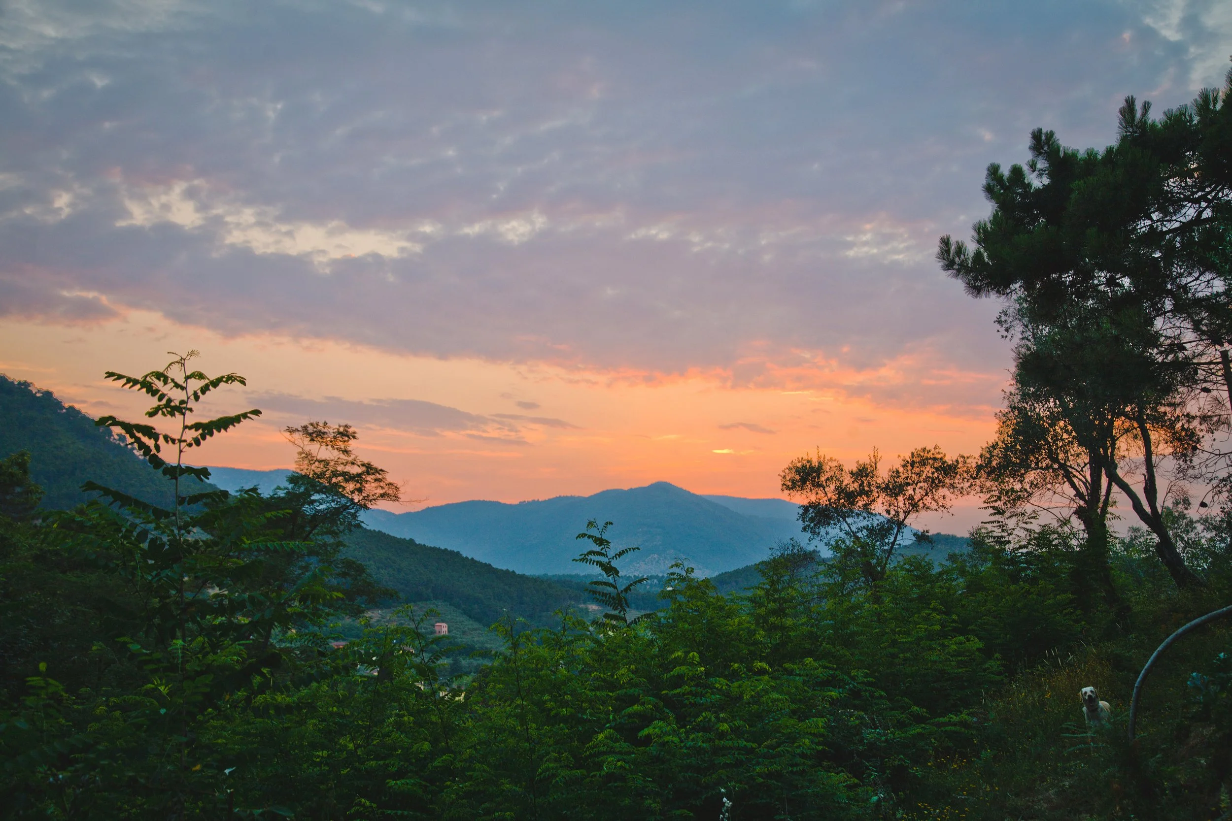 mountain_sunset_2.jpg