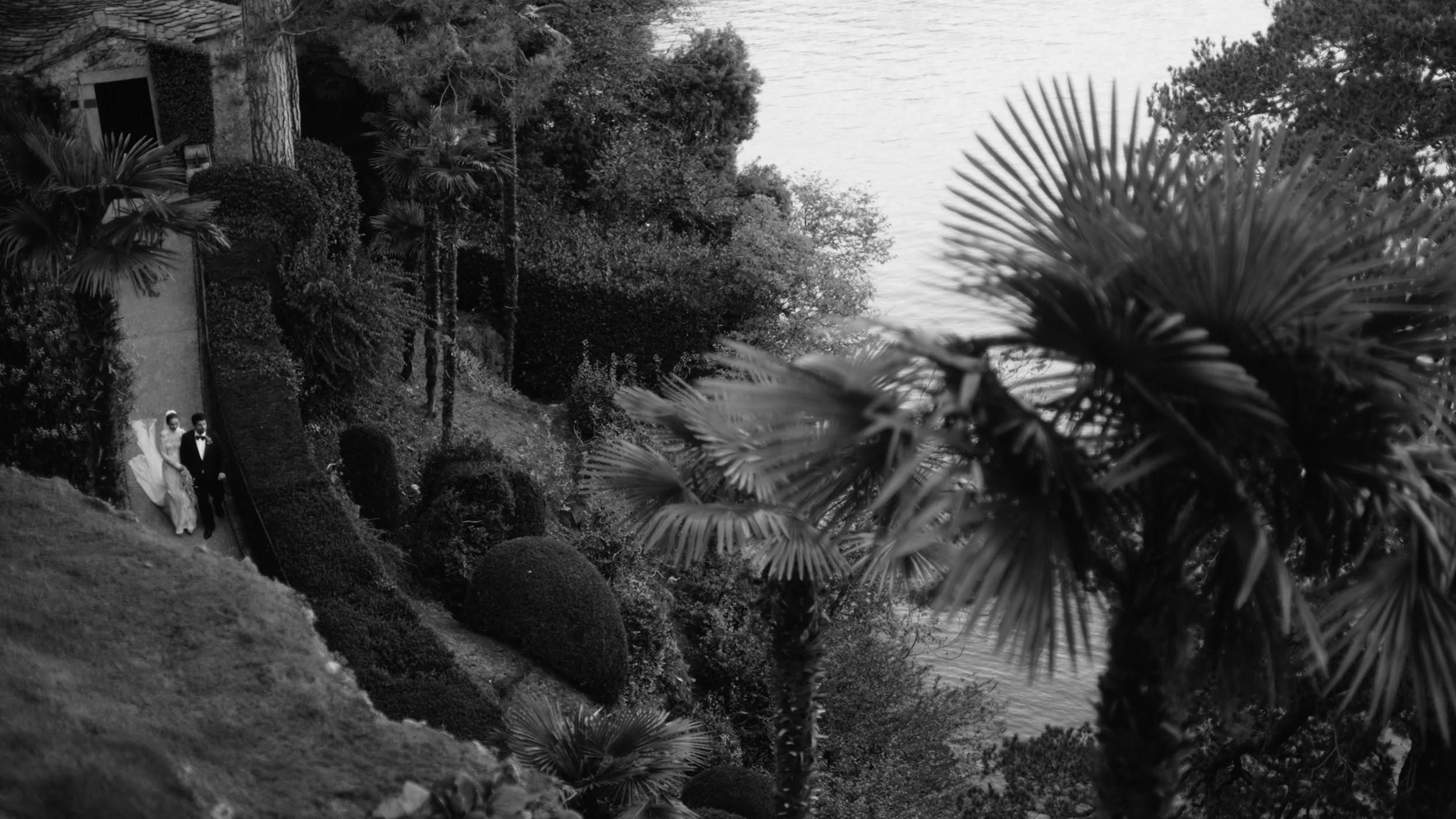 La Lista Still 2.jpg