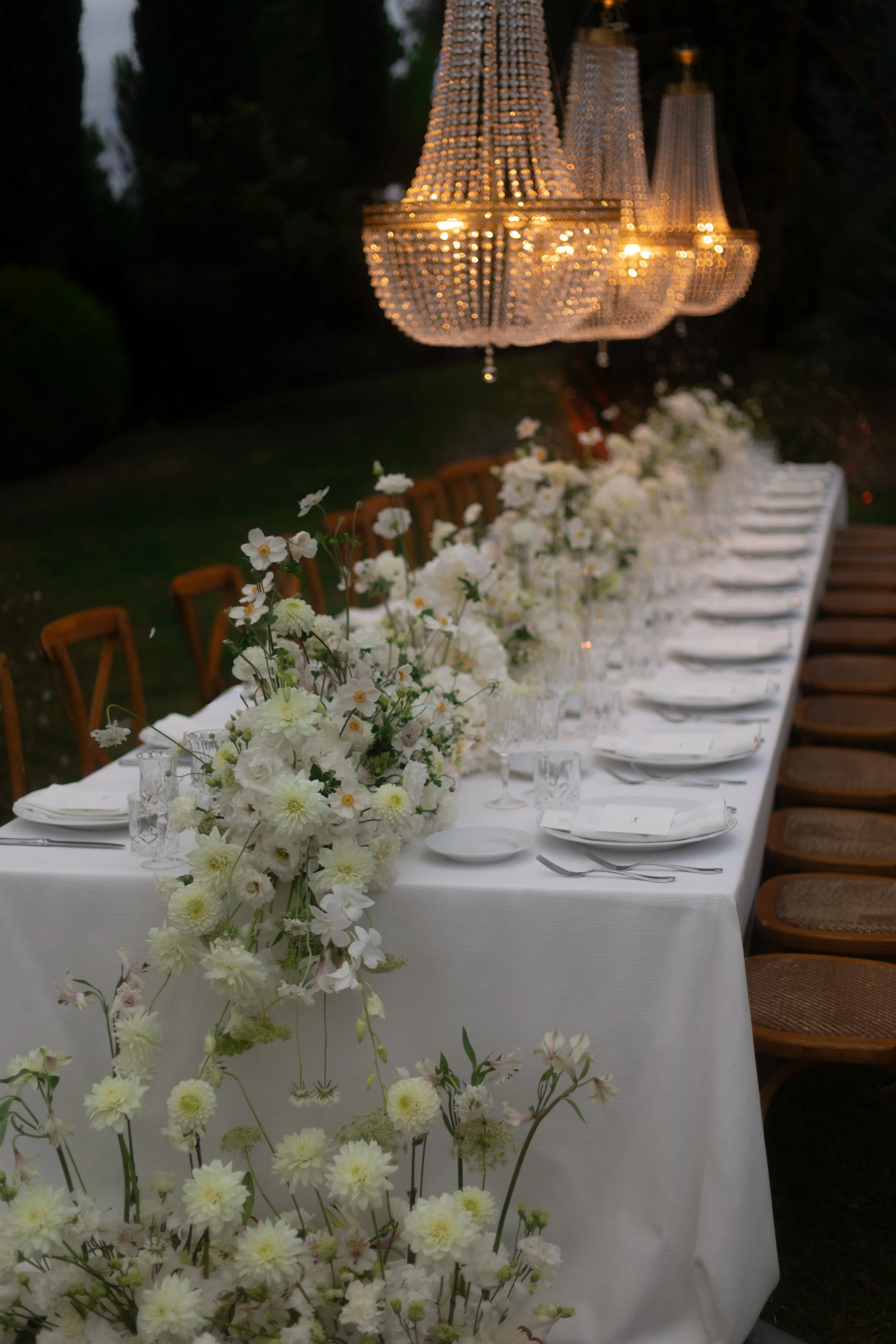 Credit @lenaruschkephoto (2).jpg